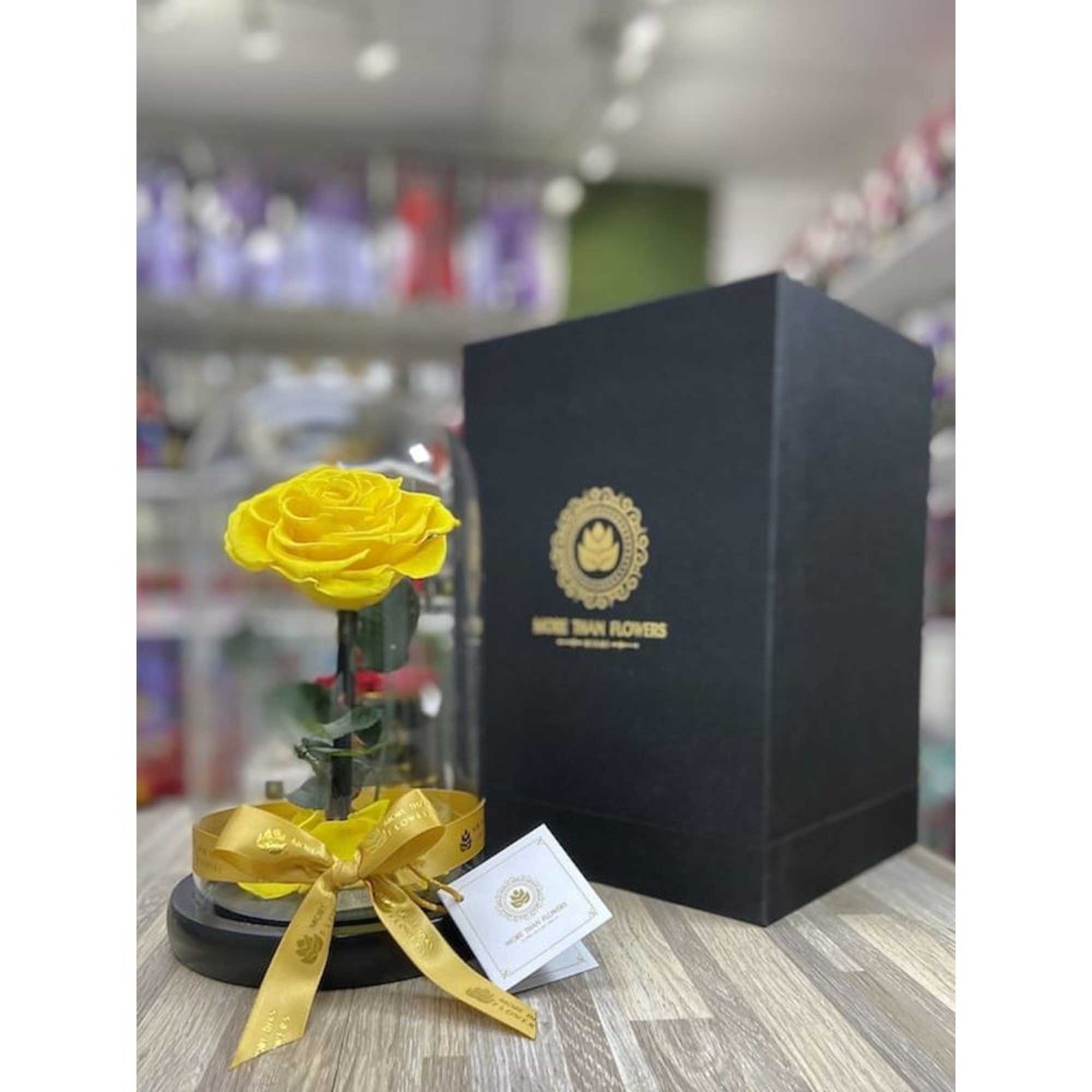 Single yellow rose displayed under a glass dome with yellow ribbon and black gift box