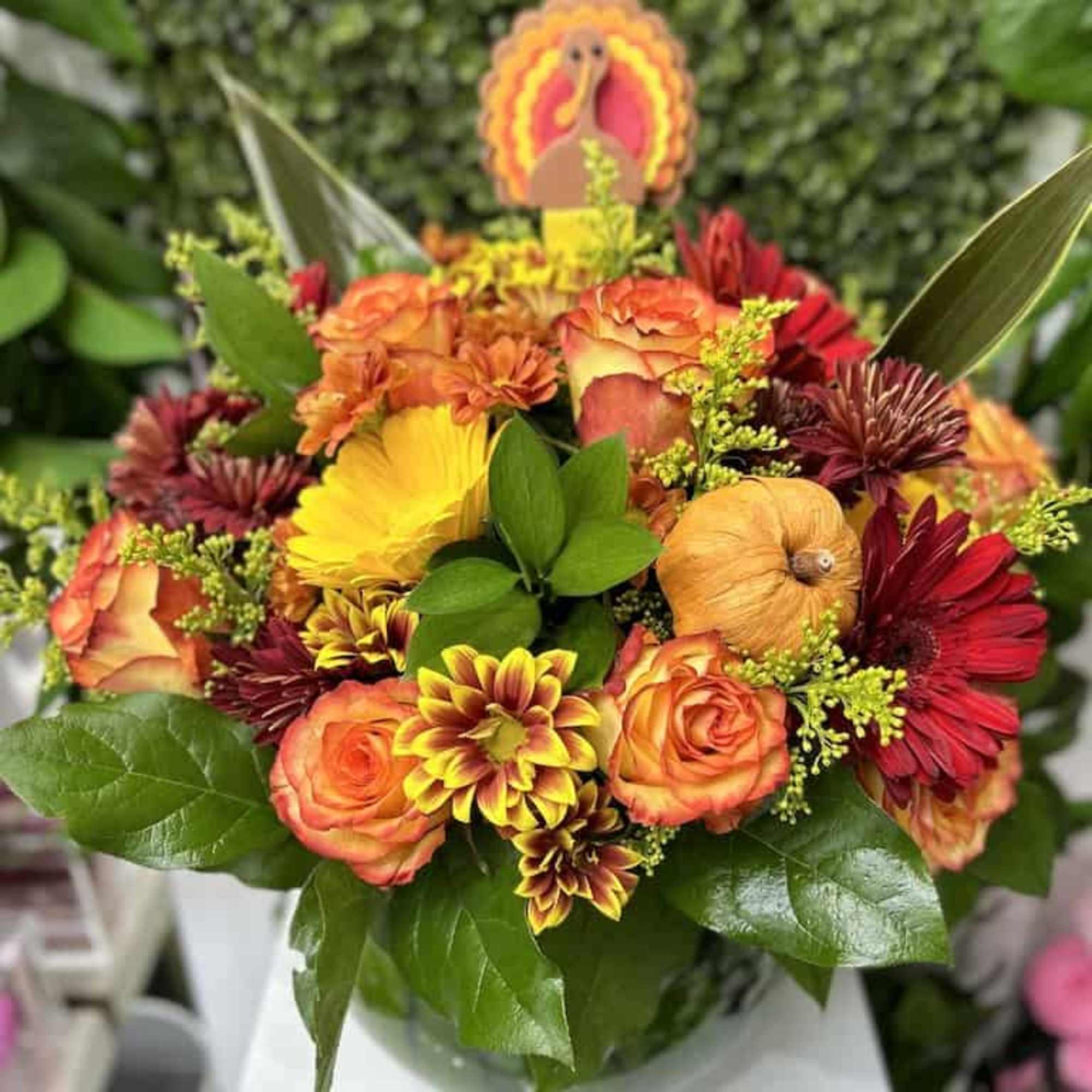 Low round arrangement of orange roses and autumn flowers with mini pumpkins and a turkey pick.