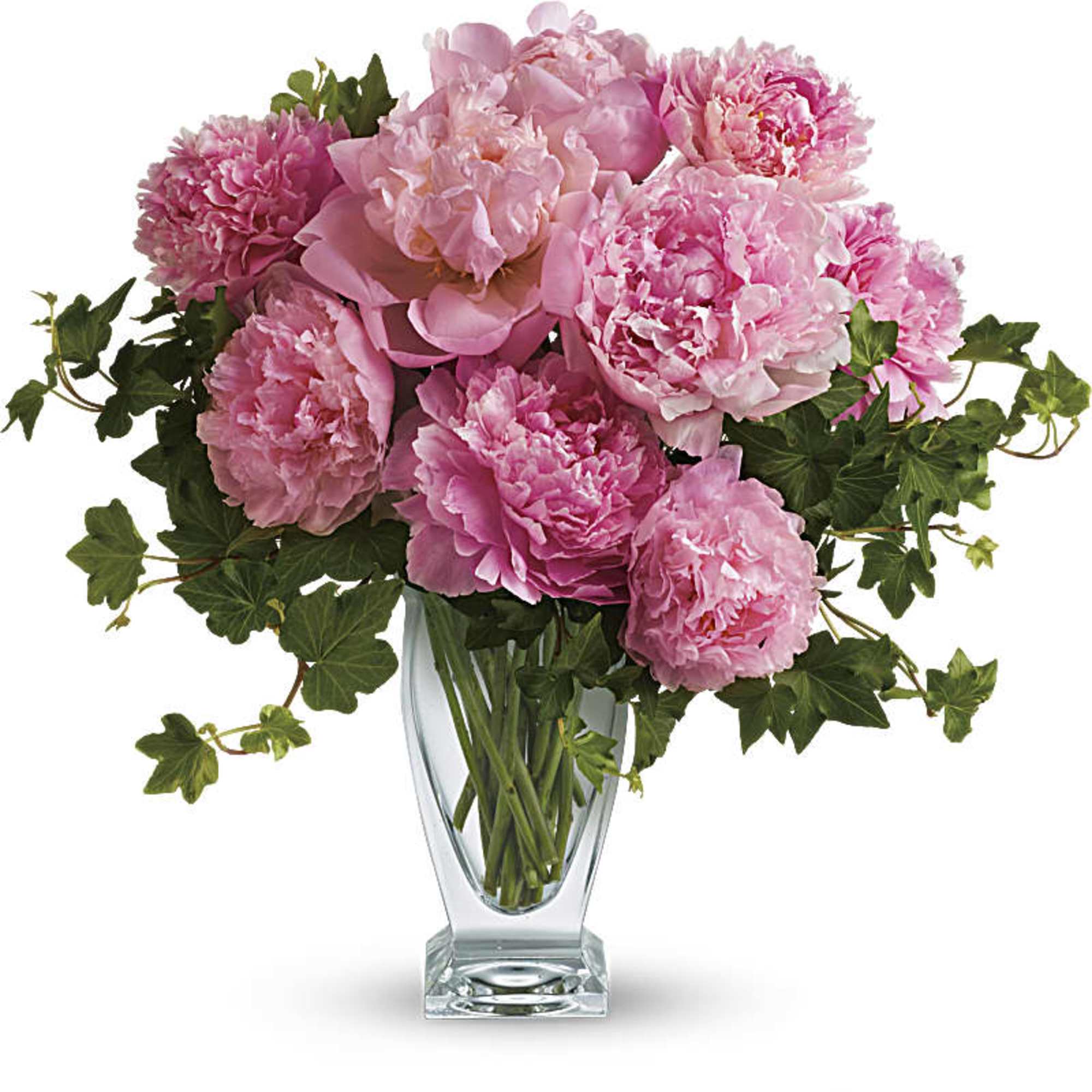 Pink peonies in a clear glass vase with trailing ivy