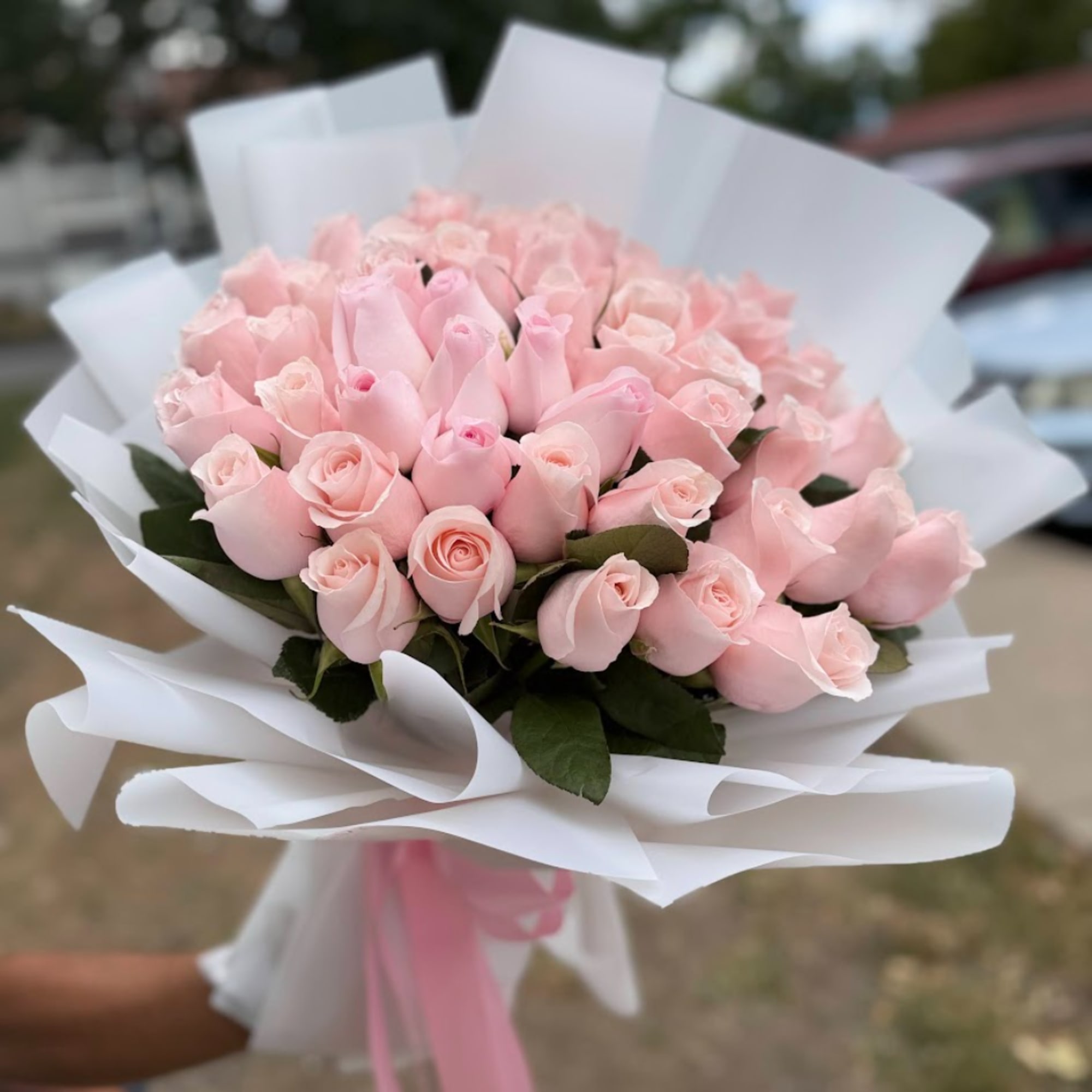 Bouquet of pale pink roses wrapped in white paper