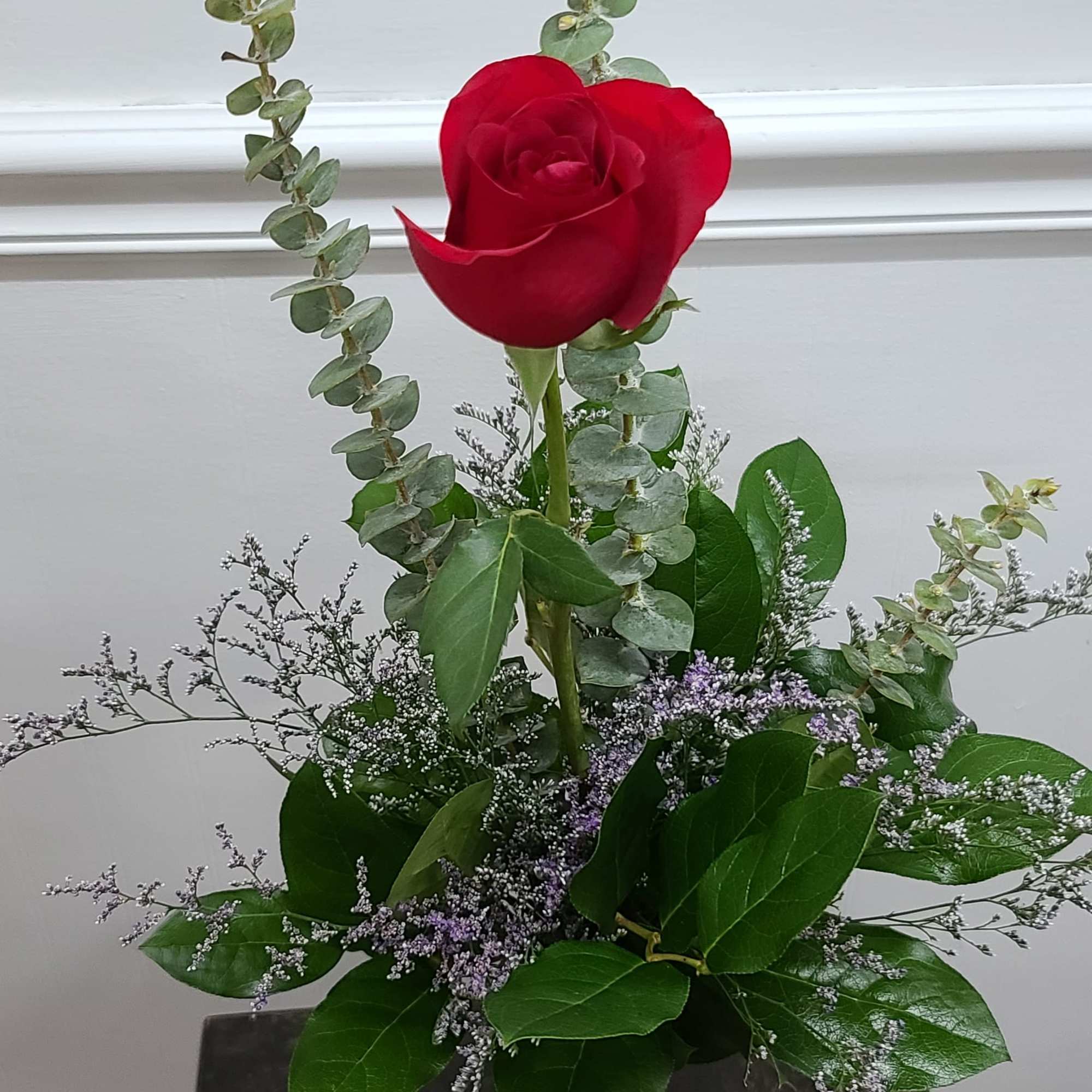 Tall &amp; elegant, a single red rose accented with lush seasonal greens