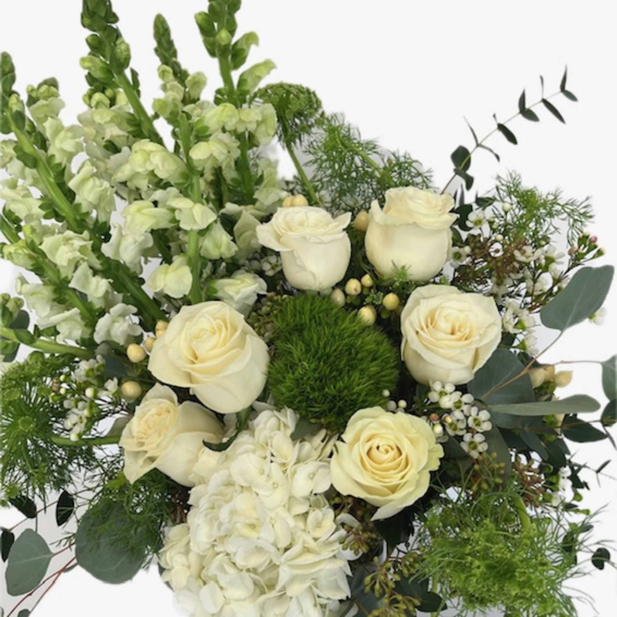White roses and hydrangea with green filler in a bouquet
