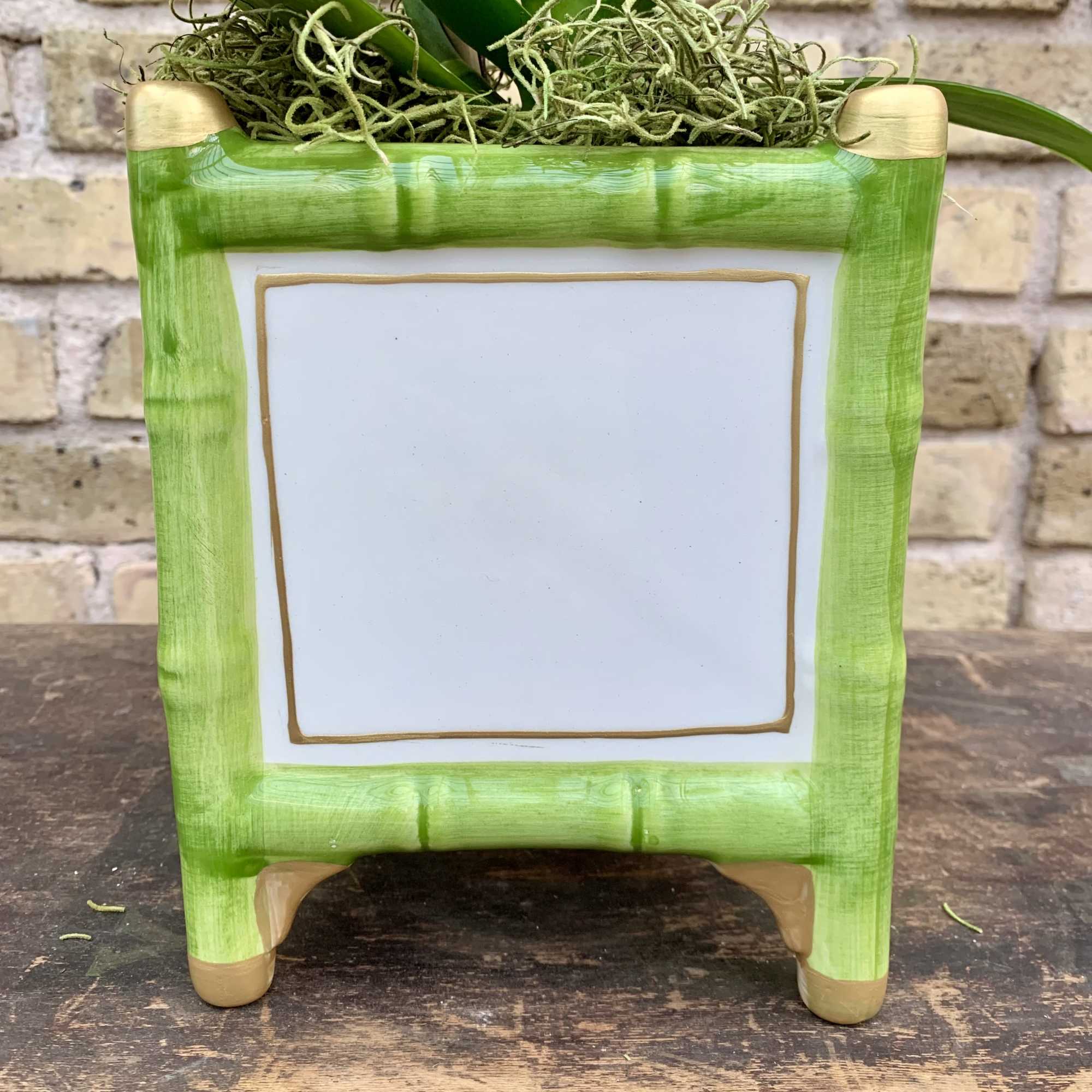 Green square planter with a blank white front panel and a plant on top