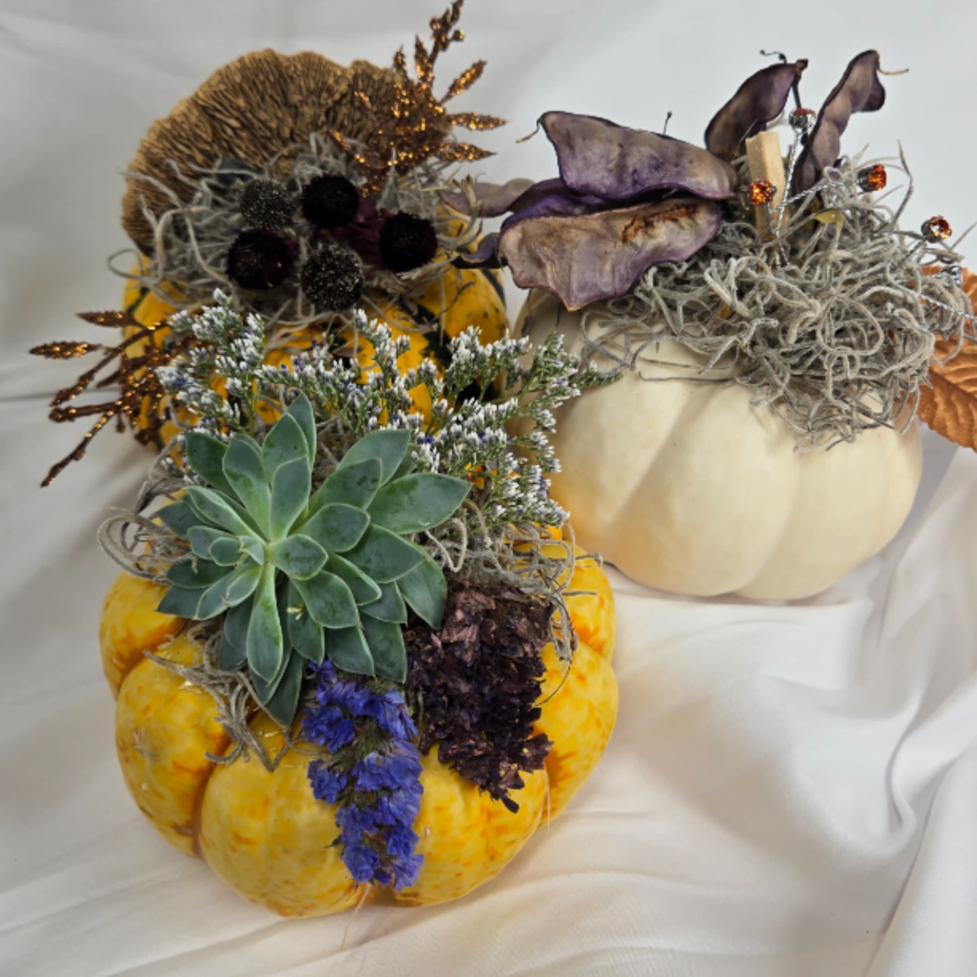 A delightful display of three real Fall pumpkins, grown right here on, photo 2 of 2