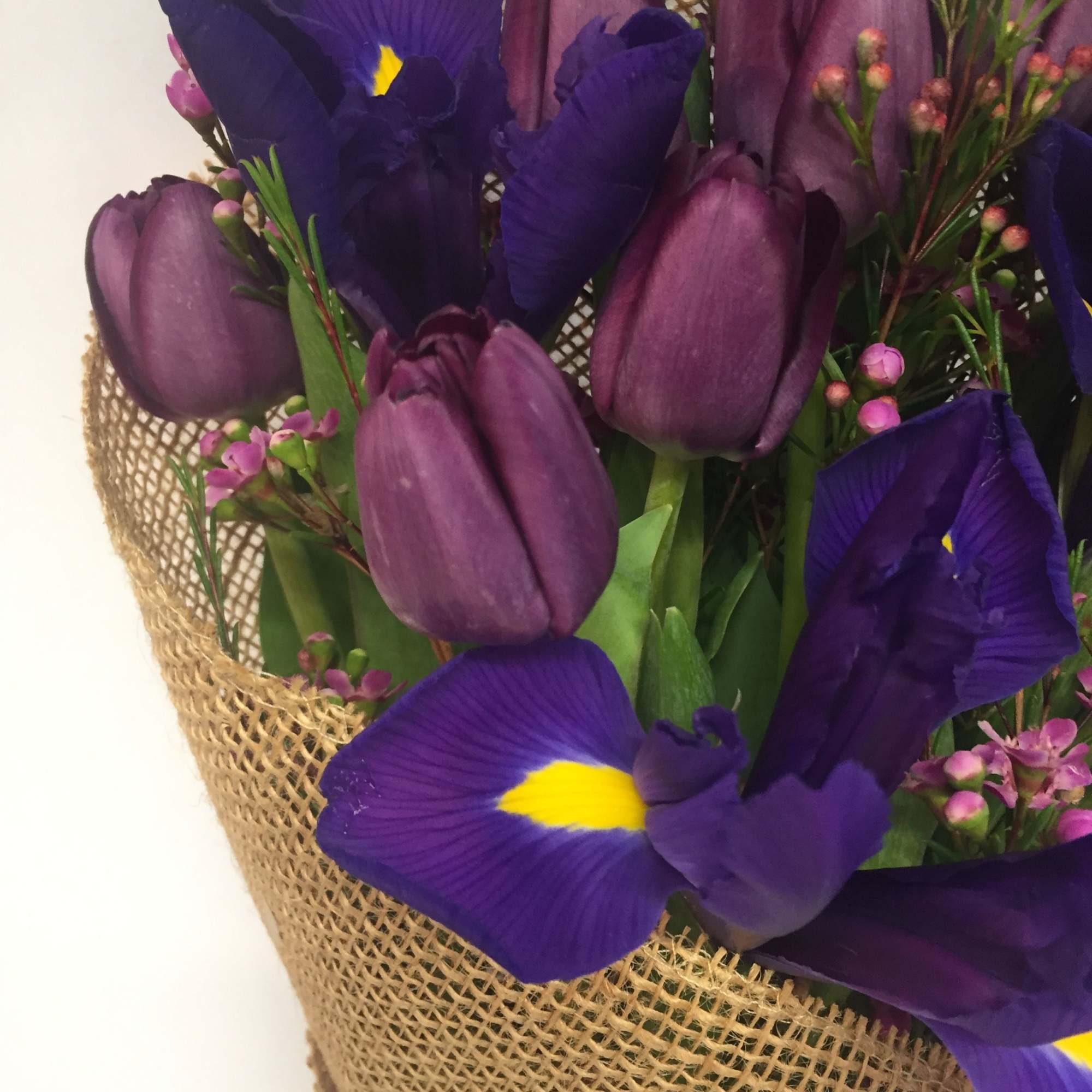 A striking hand-tied bouquet featuring rich purple tulips and vibrant royal-blue irises, photo 2 of 2