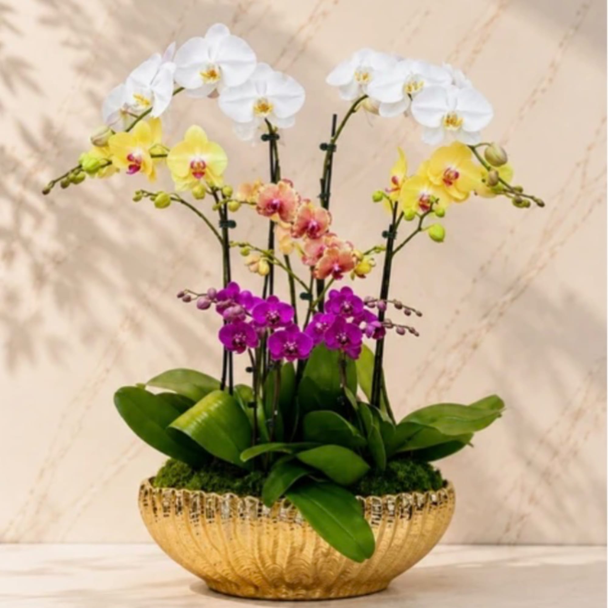 Potted orchids in white, yellow, and purple in a gold bowl planter