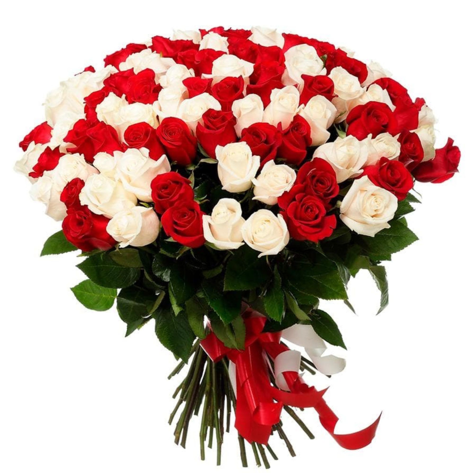 Bouquet of red and white roses with a red ribbon