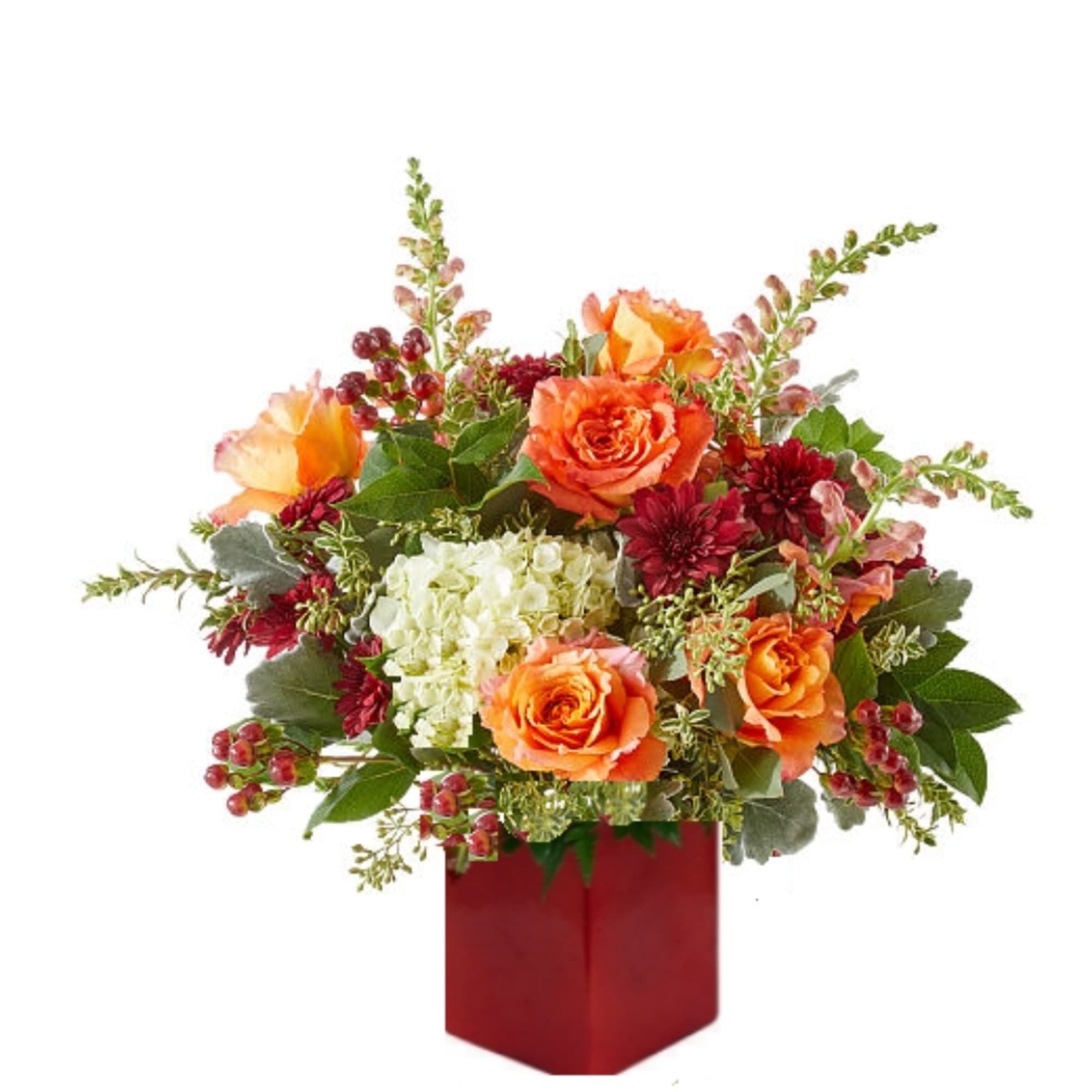 Orange roses and burgundy mums in a red vase with white hydrangea