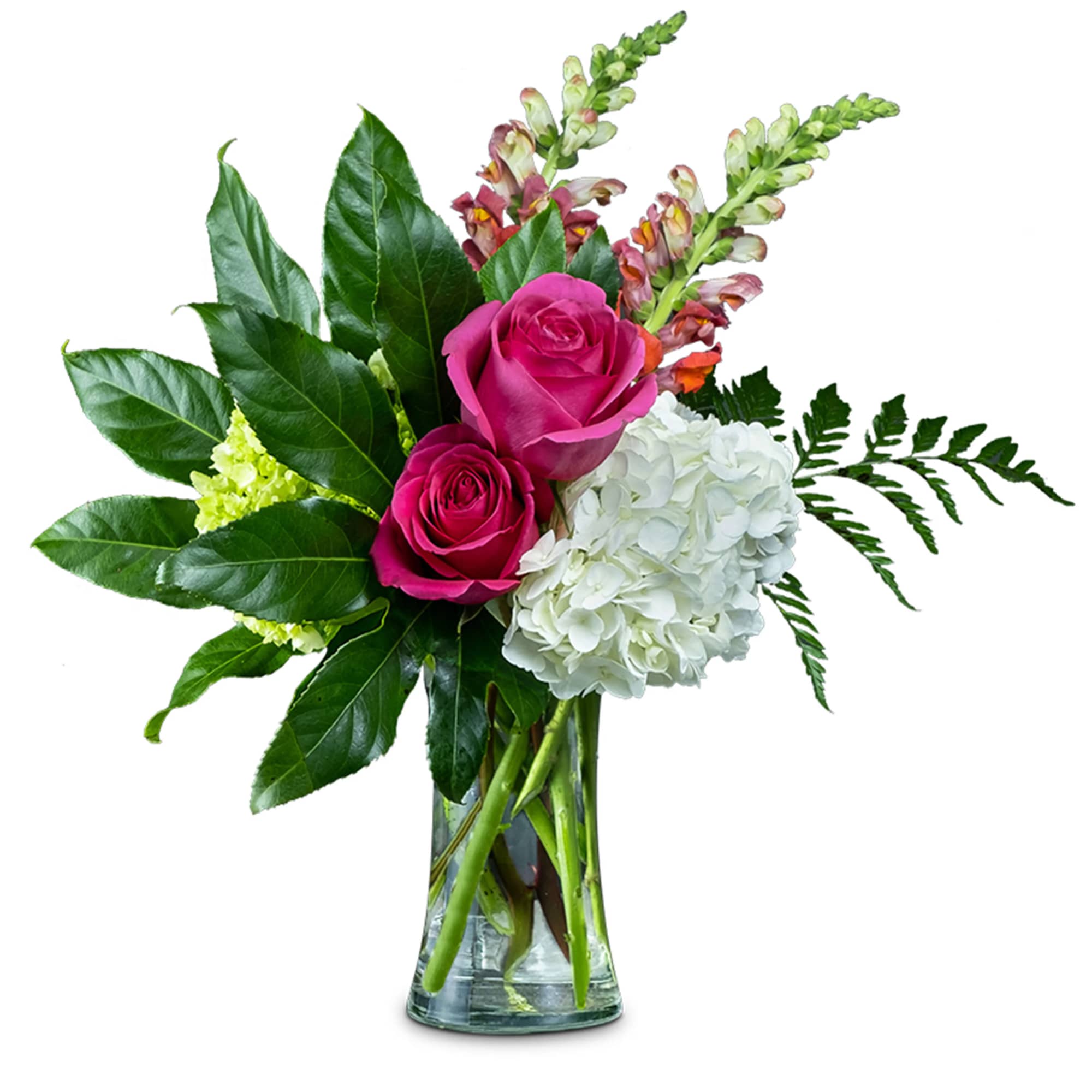 Tall vase arrangement with hot pink roses, white hydrangea, multicolor snapdragons, and large glossy green leaves