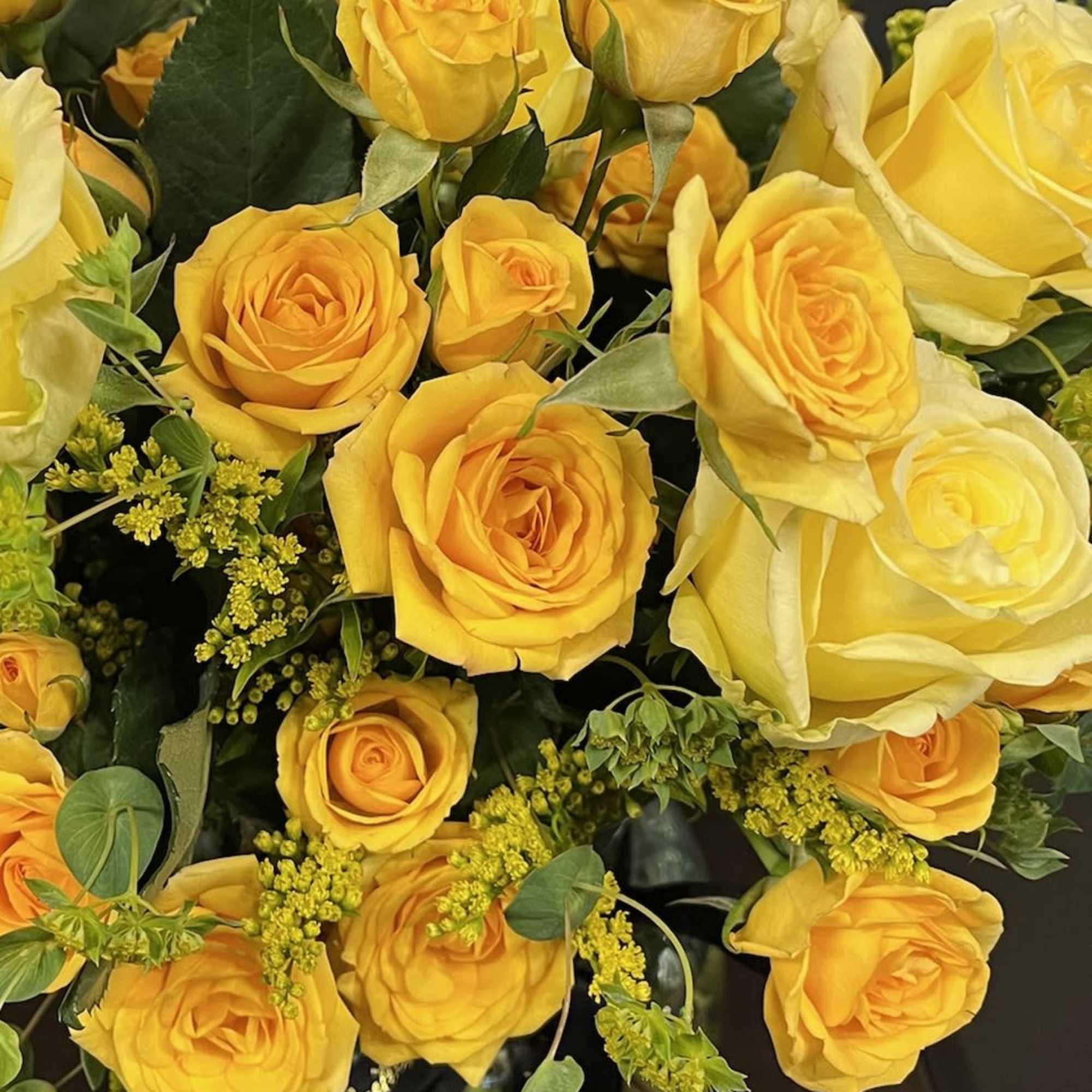 Classic roses beautifully arranged in a vase, perfect for birthdays, anniversaries, romance, photo 2 of 2