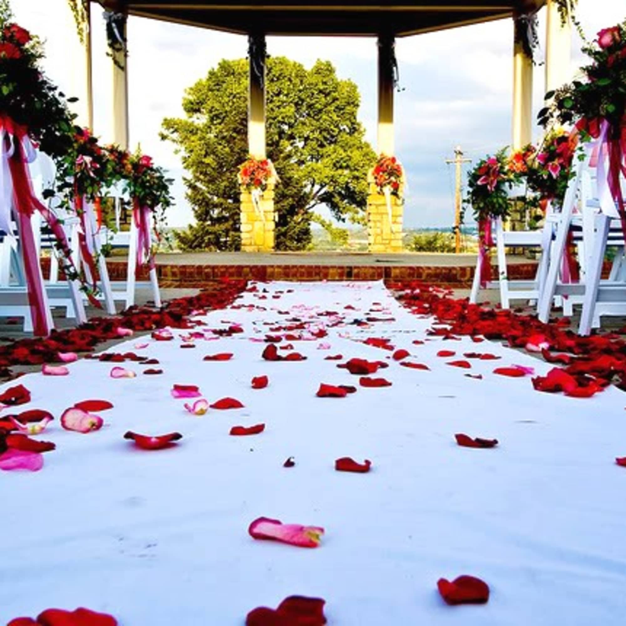 Wedding aisle with rose petals and floral-decorated chairs under a canopy