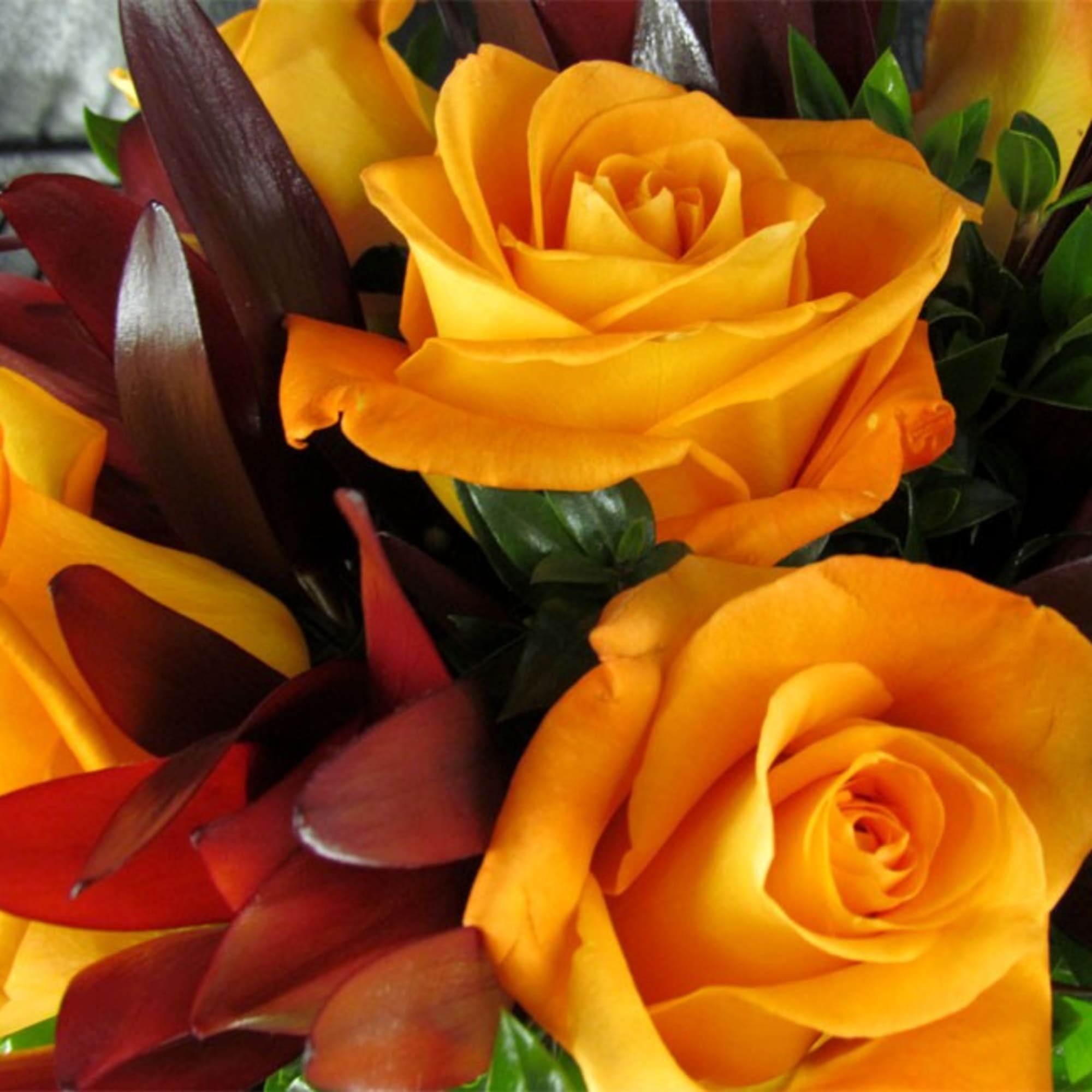 Close-up bouquet of yellow roses with dark red foliage