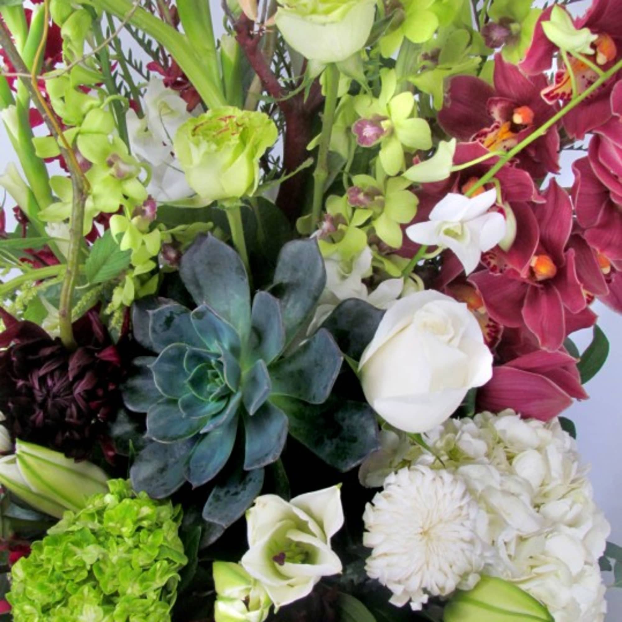 Mixed bouquet with green orchids, white roses, and burgundy flowers