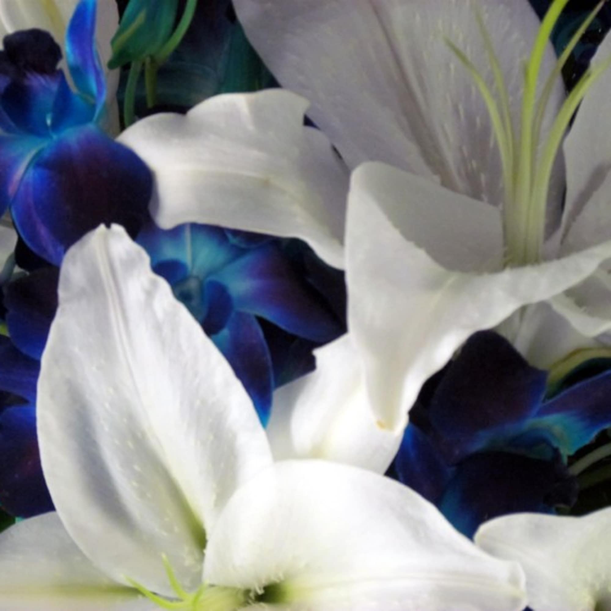 Close-up bouquet of white lilies and blue-purple orchids