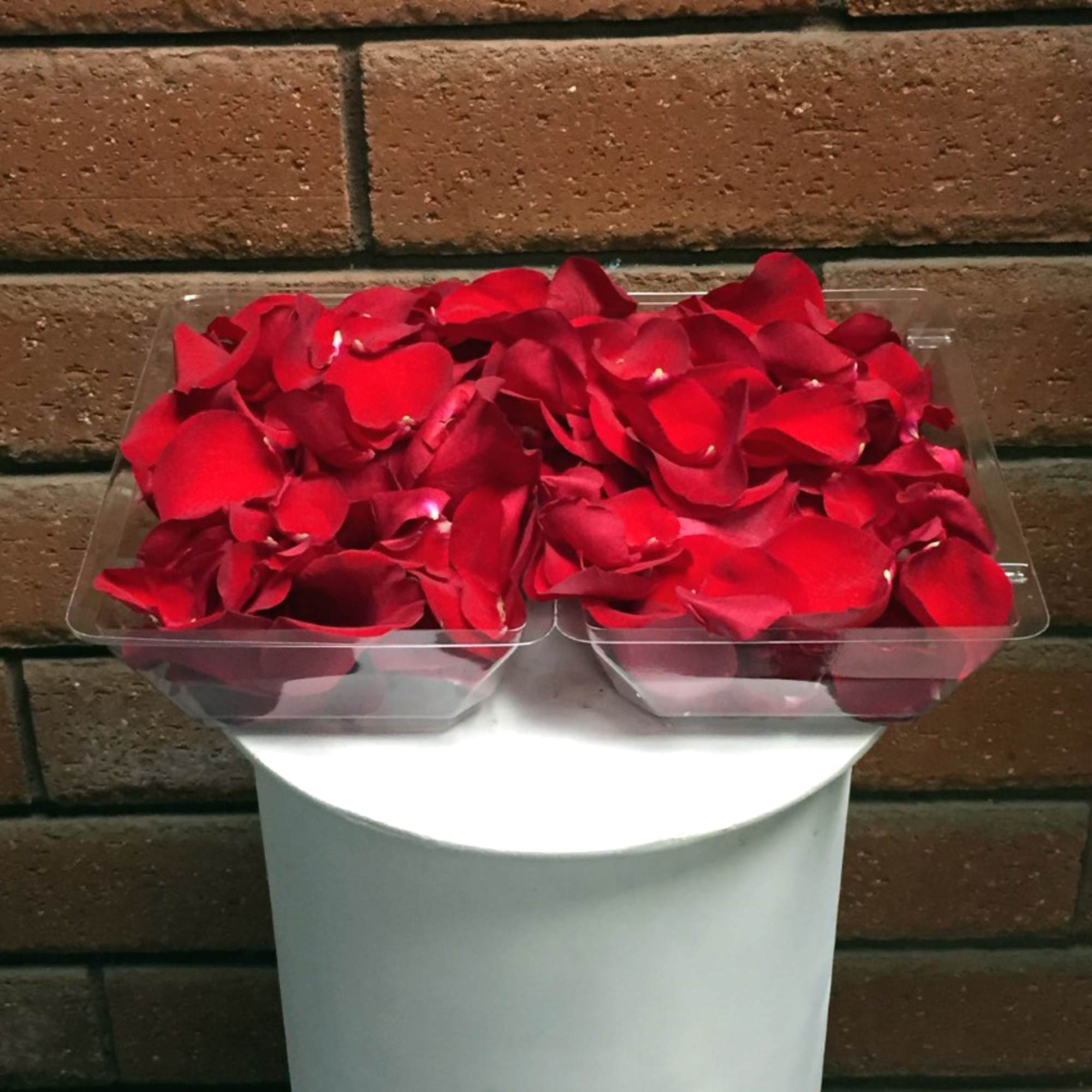Clear boxes filled with red rose petals on a white pedestal