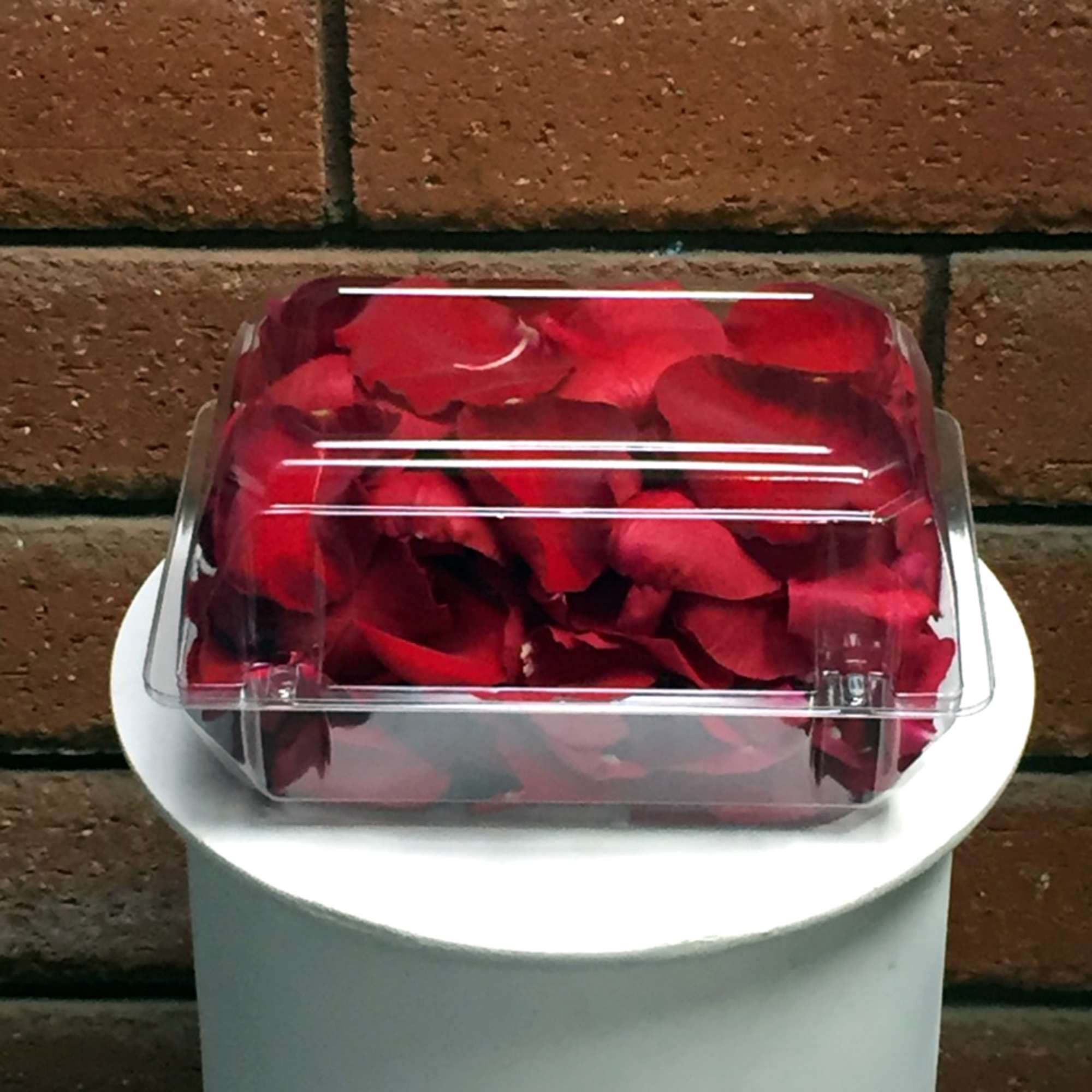 Clear box filled with red rose petals