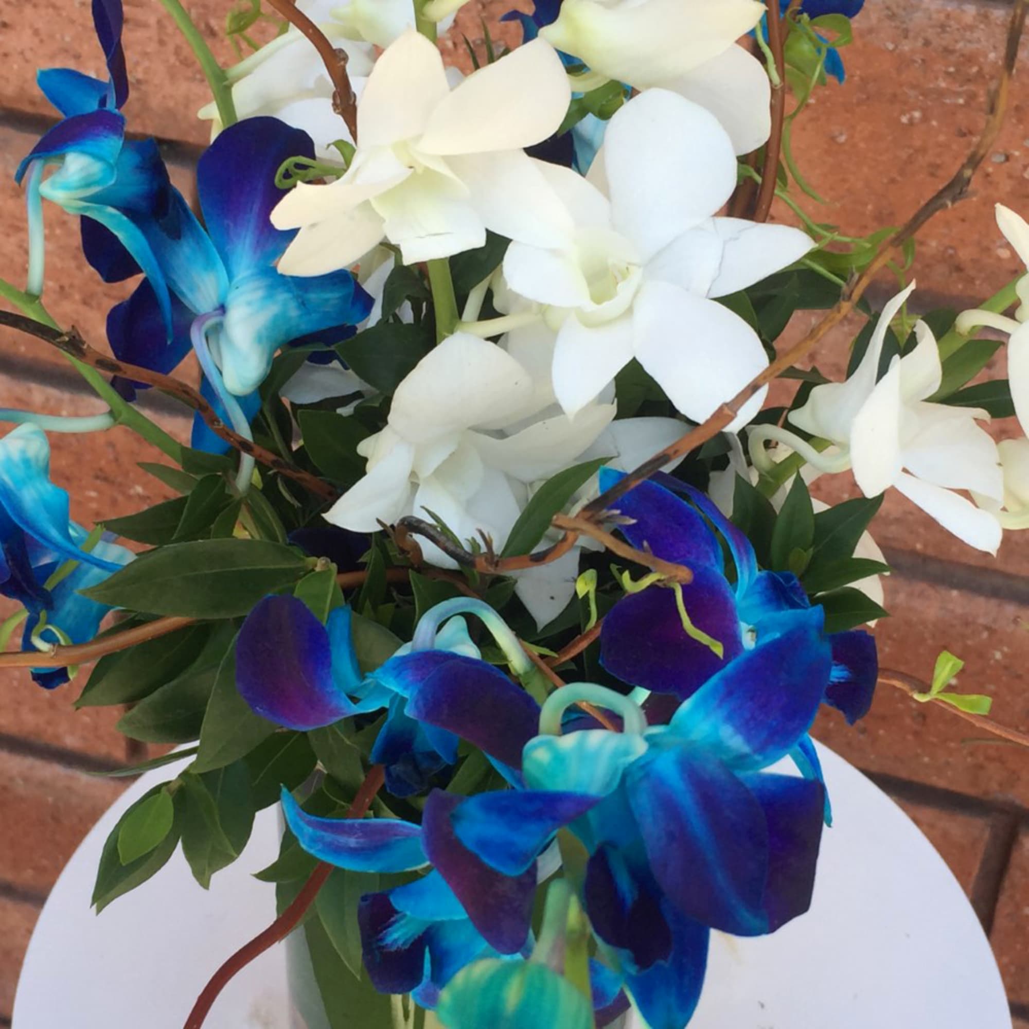 Blue and white orchids arranged in a vase