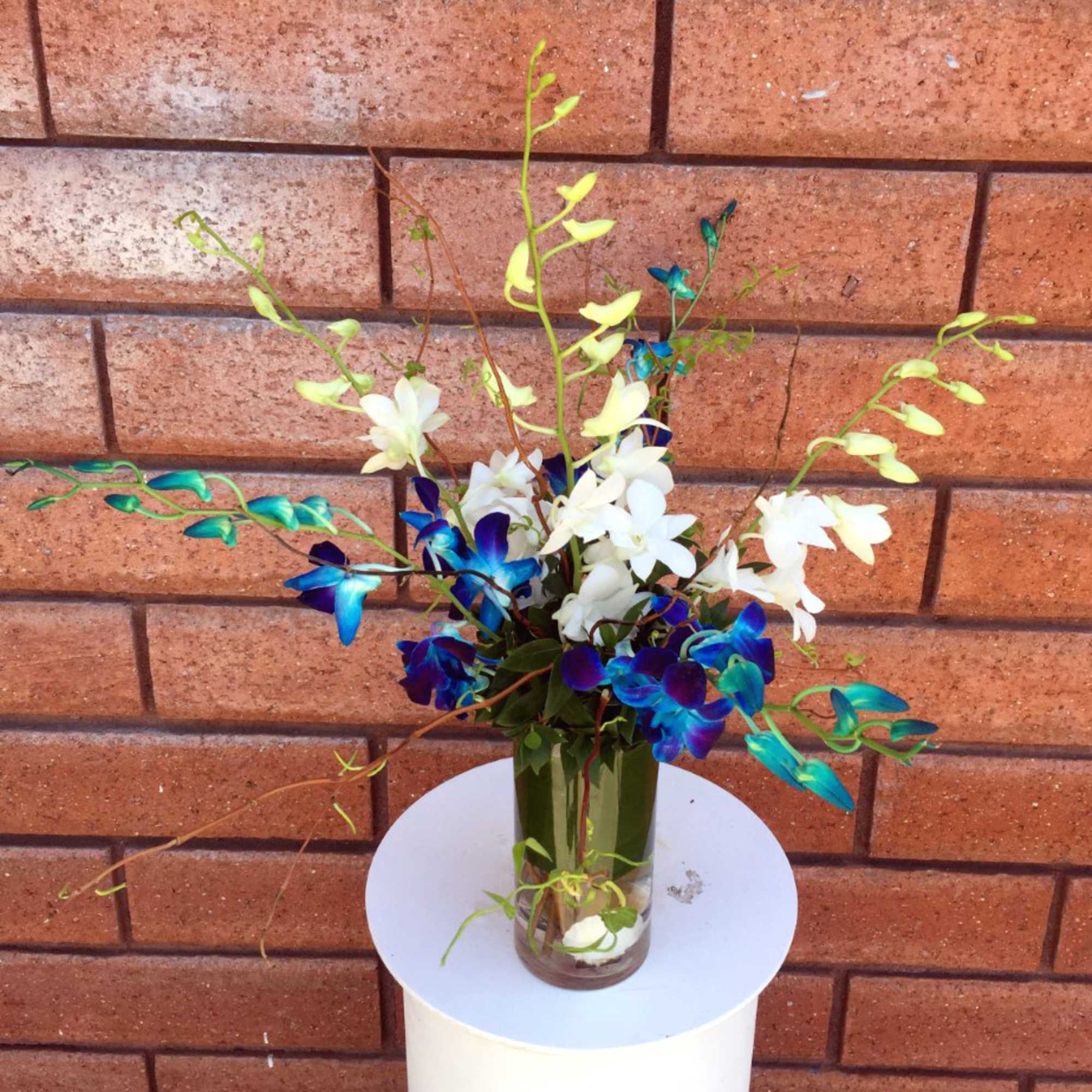 Blue, white, and green orchid arrangement in a glass vase