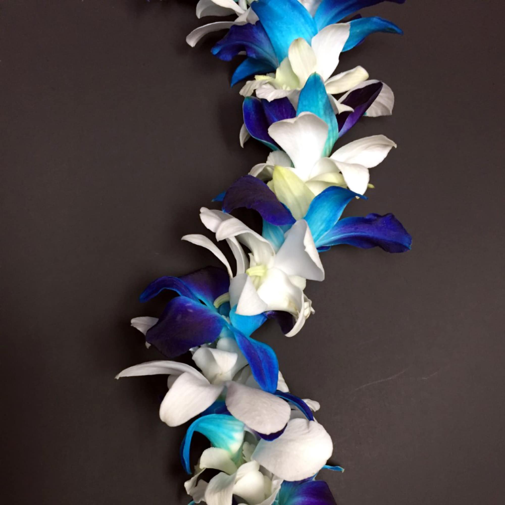 A garland of blue, purple, and white orchid-like flowers on a dark background.