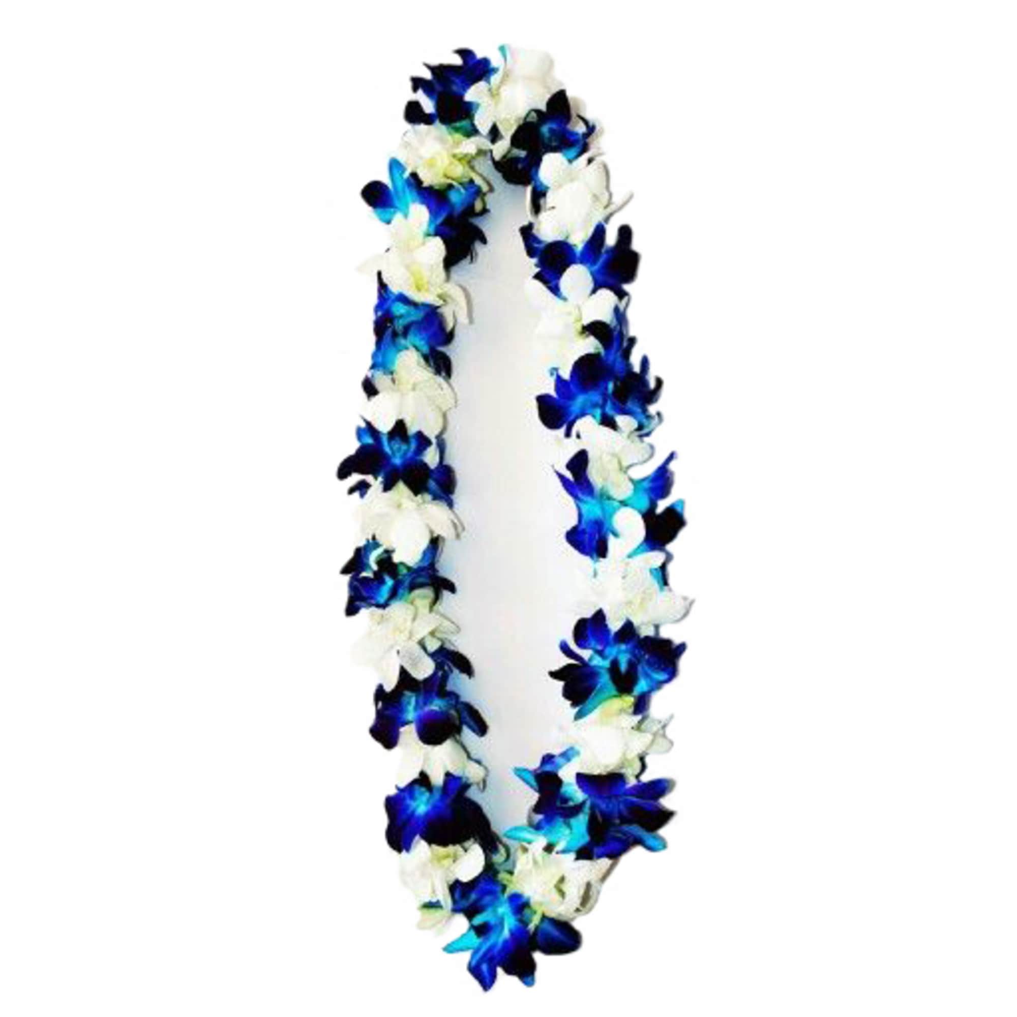 Blue and white flower lei on a white background