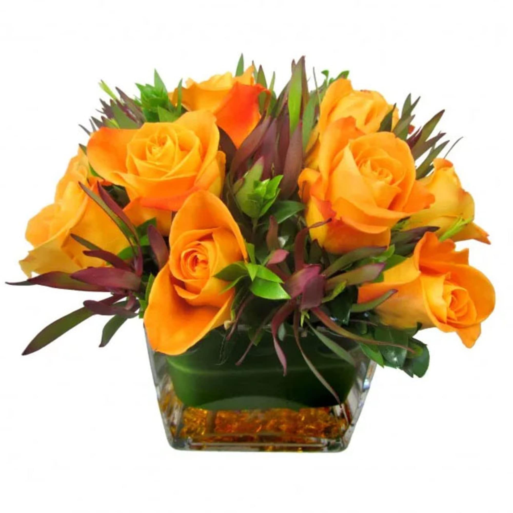Orange roses arranged in a square glass vase