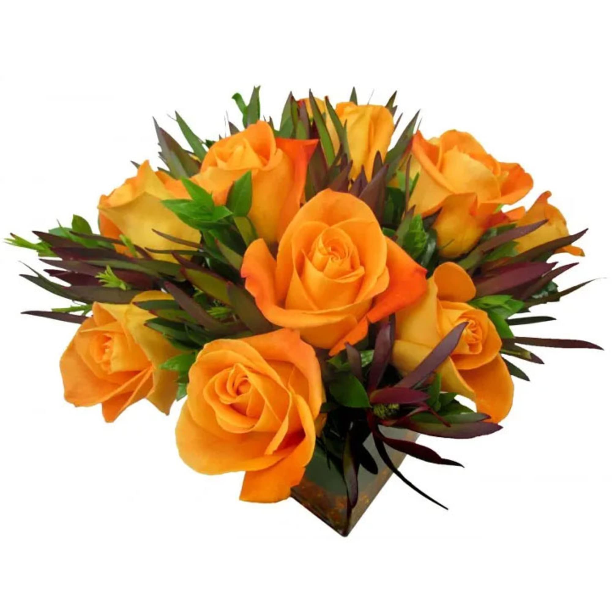Bouquet of orange roses with dark foliage