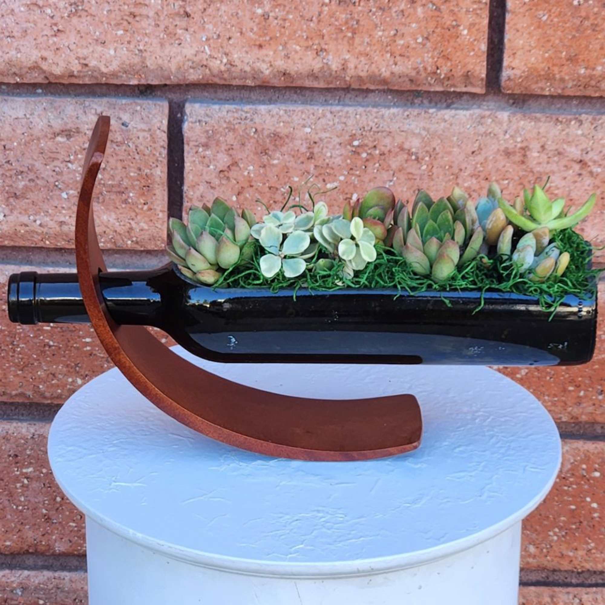 Succulent arrangement in a black bottle-shaped container with a curved metal stand