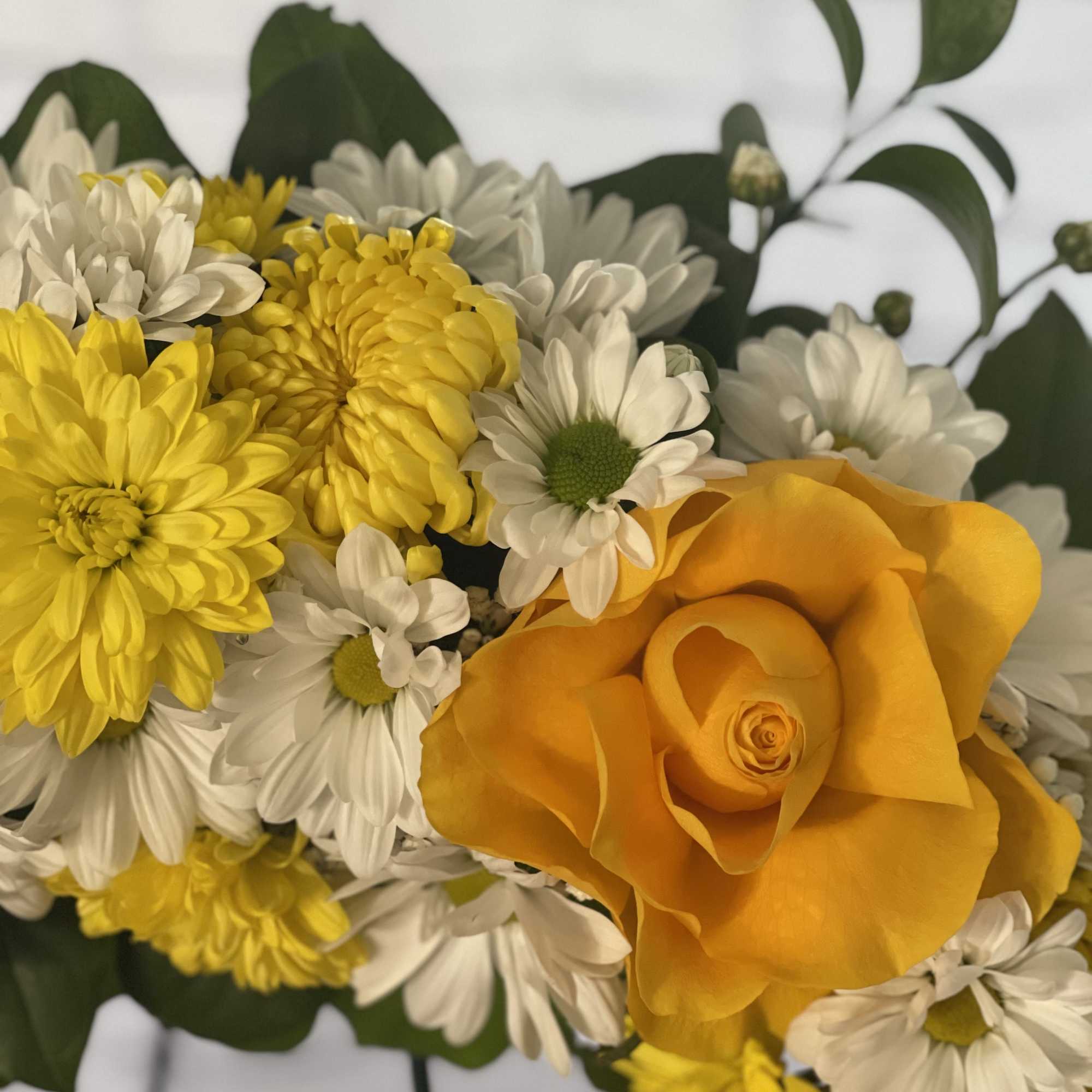 Bouquet of yellow roses and white daisies with dark green leaves