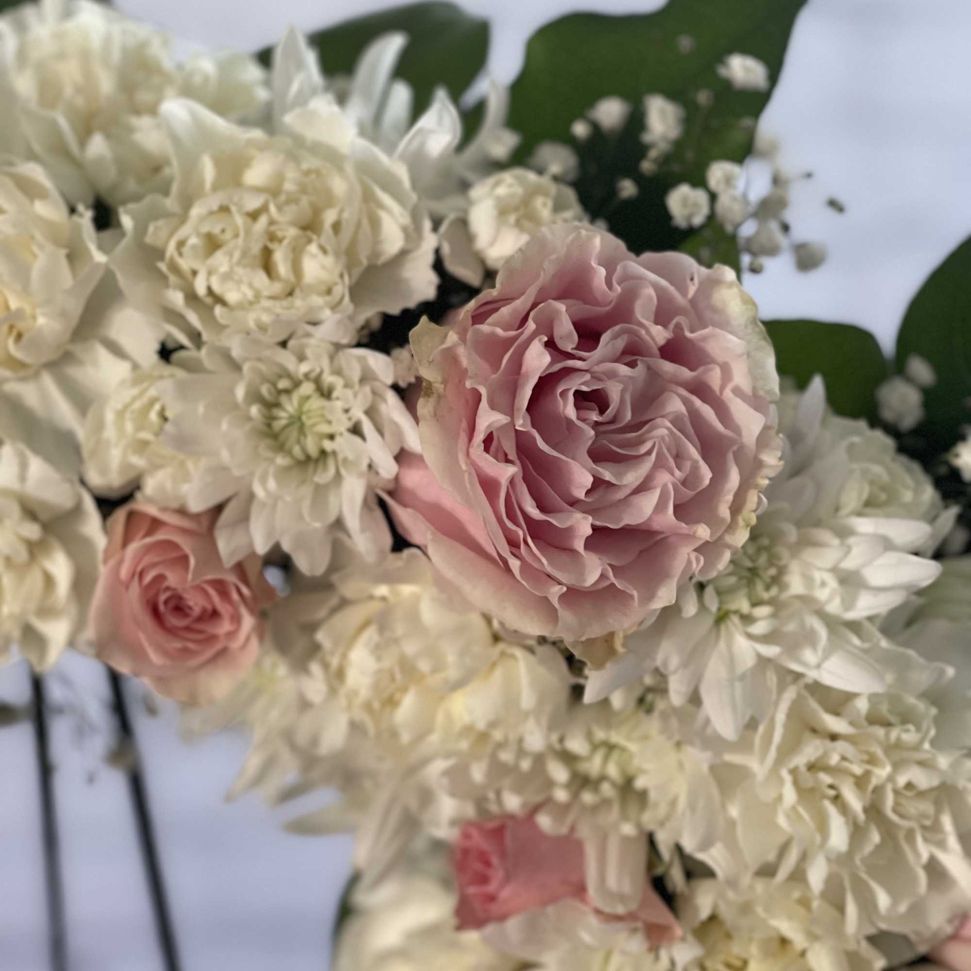 Pink and white roses with white daisies in a bouquet