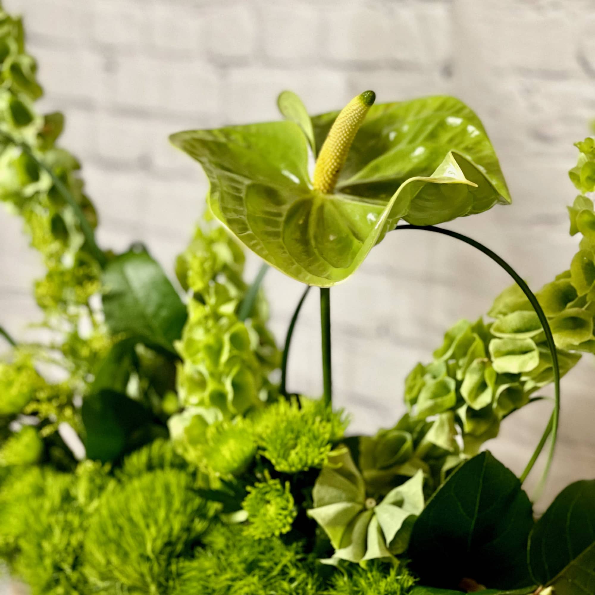 Green floral arrangement with an anthurium bloom and textured greenery