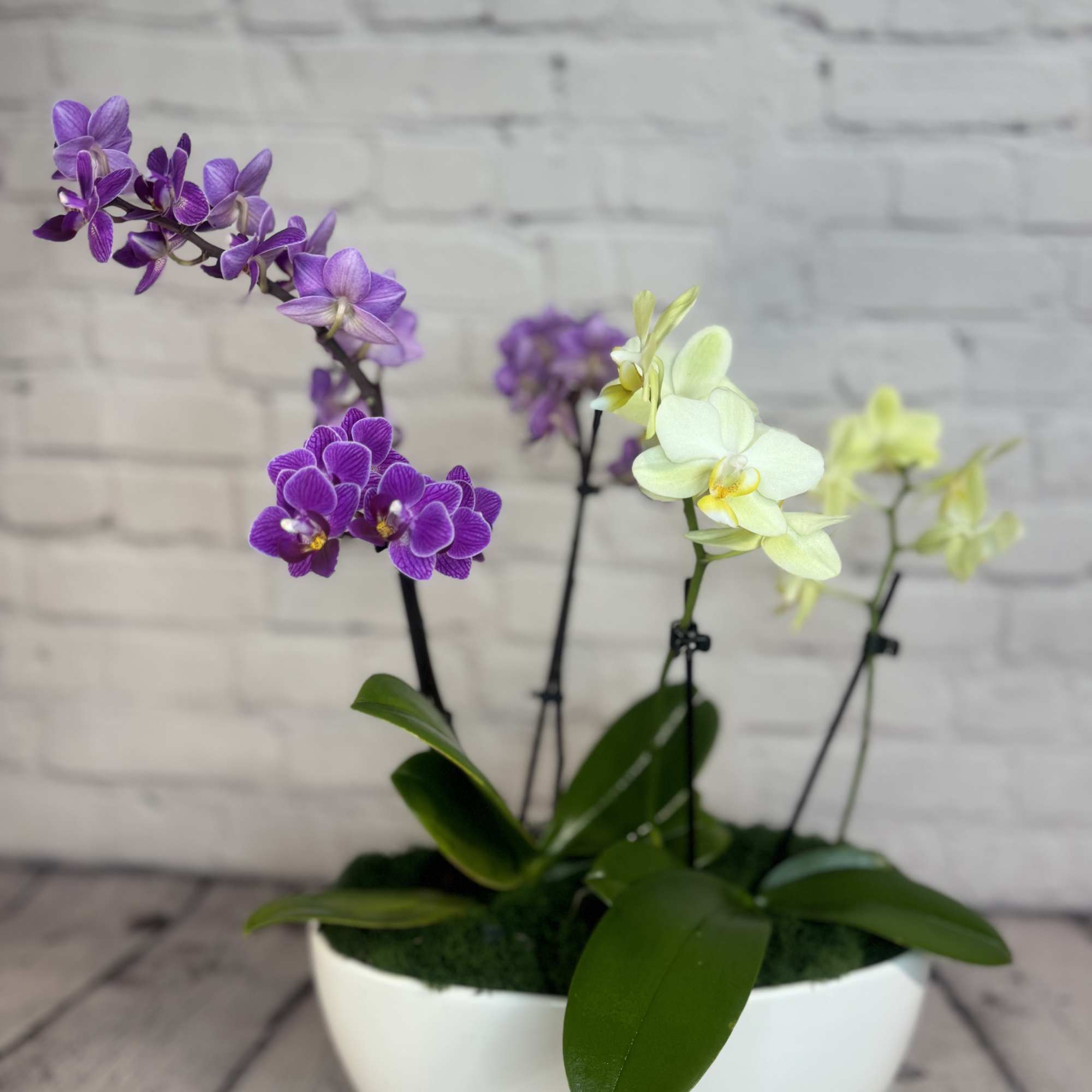 Our "Orchid Delight" is a captivating floral arrangement that brings natural beauty, photo 2 of 6