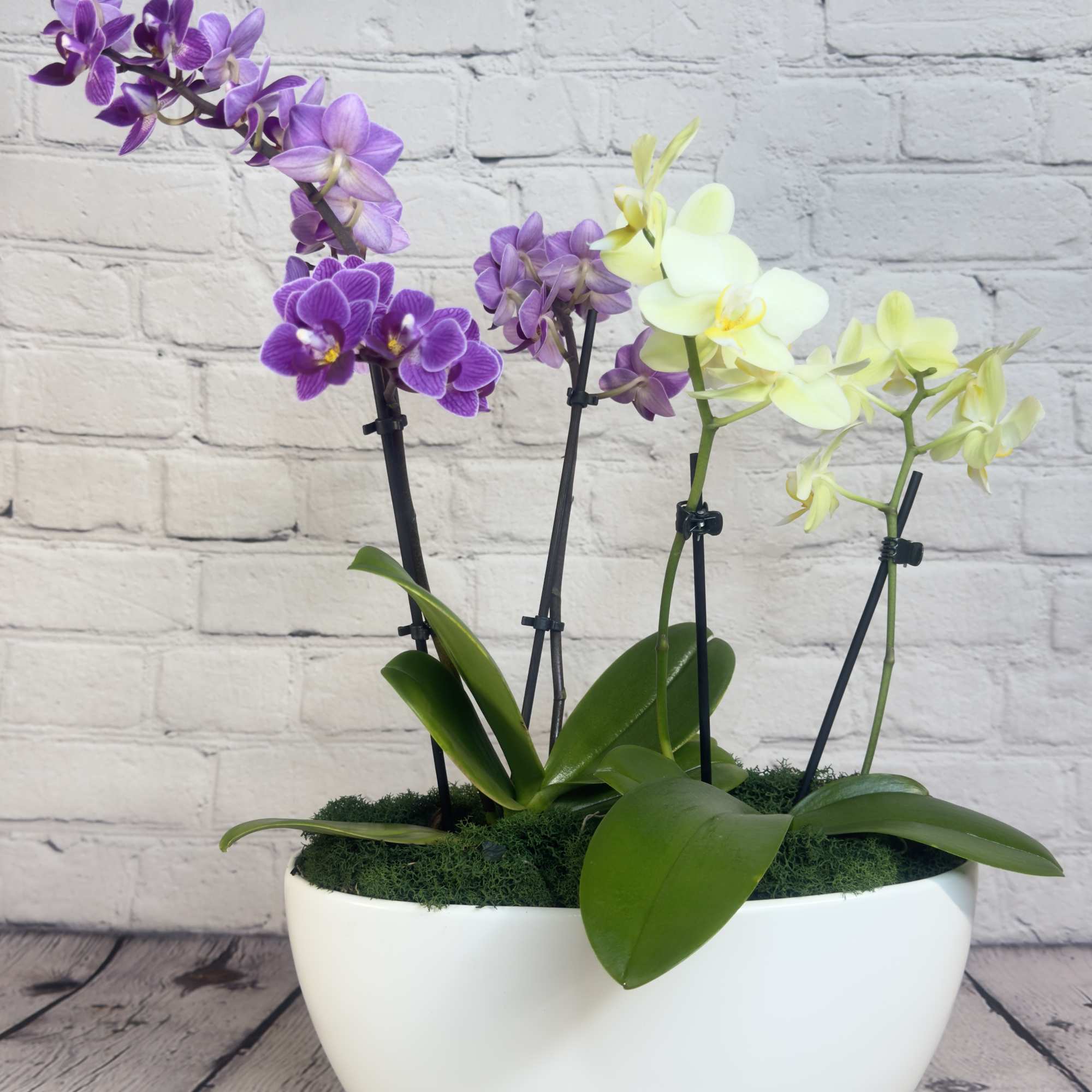 Our "Orchid Delight" is a captivating floral arrangement that brings natural beauty, photo 4 of 6