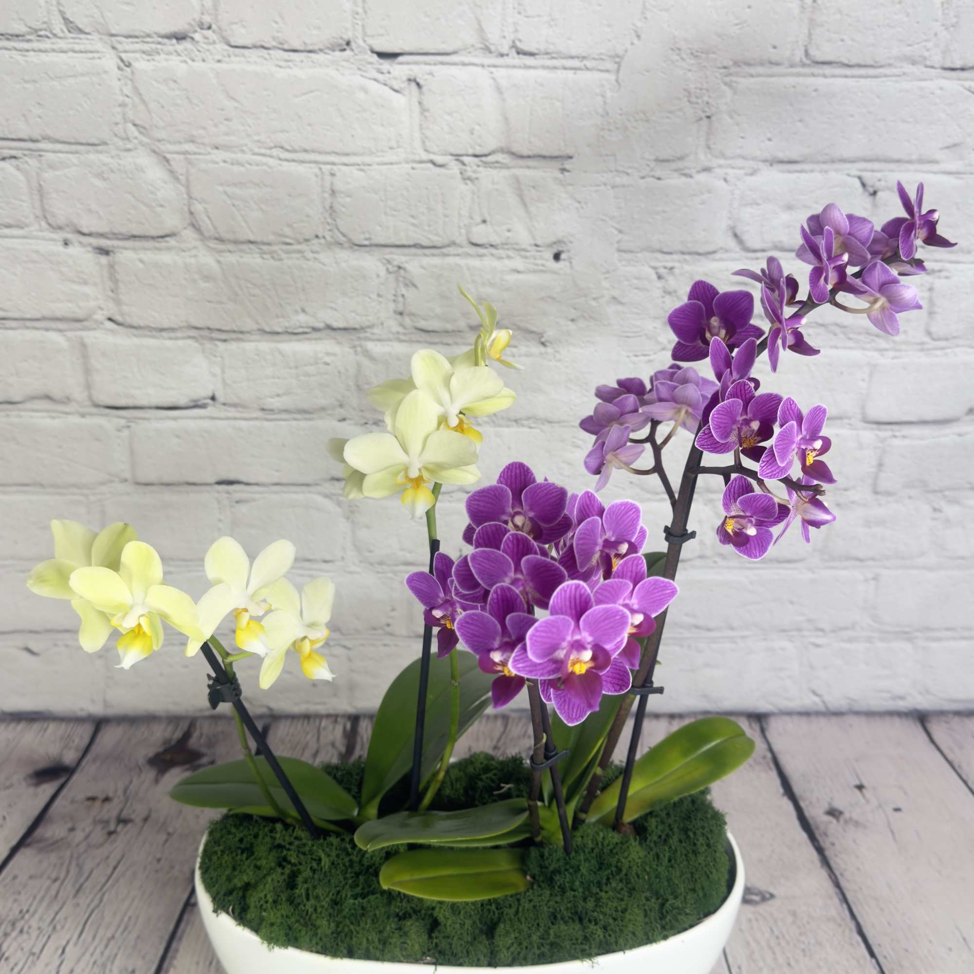 Our "Orchid Delight" is a captivating floral arrangement that brings natural beauty, photo 6 of 6