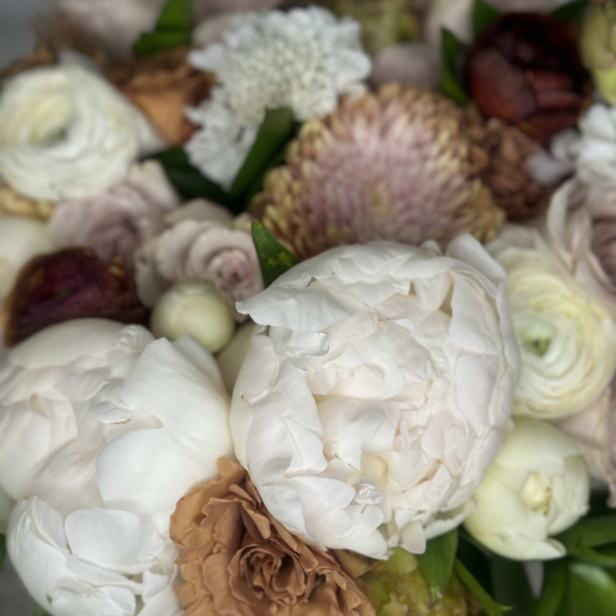 Close-up bouquet of white and blush flowers with tan accents