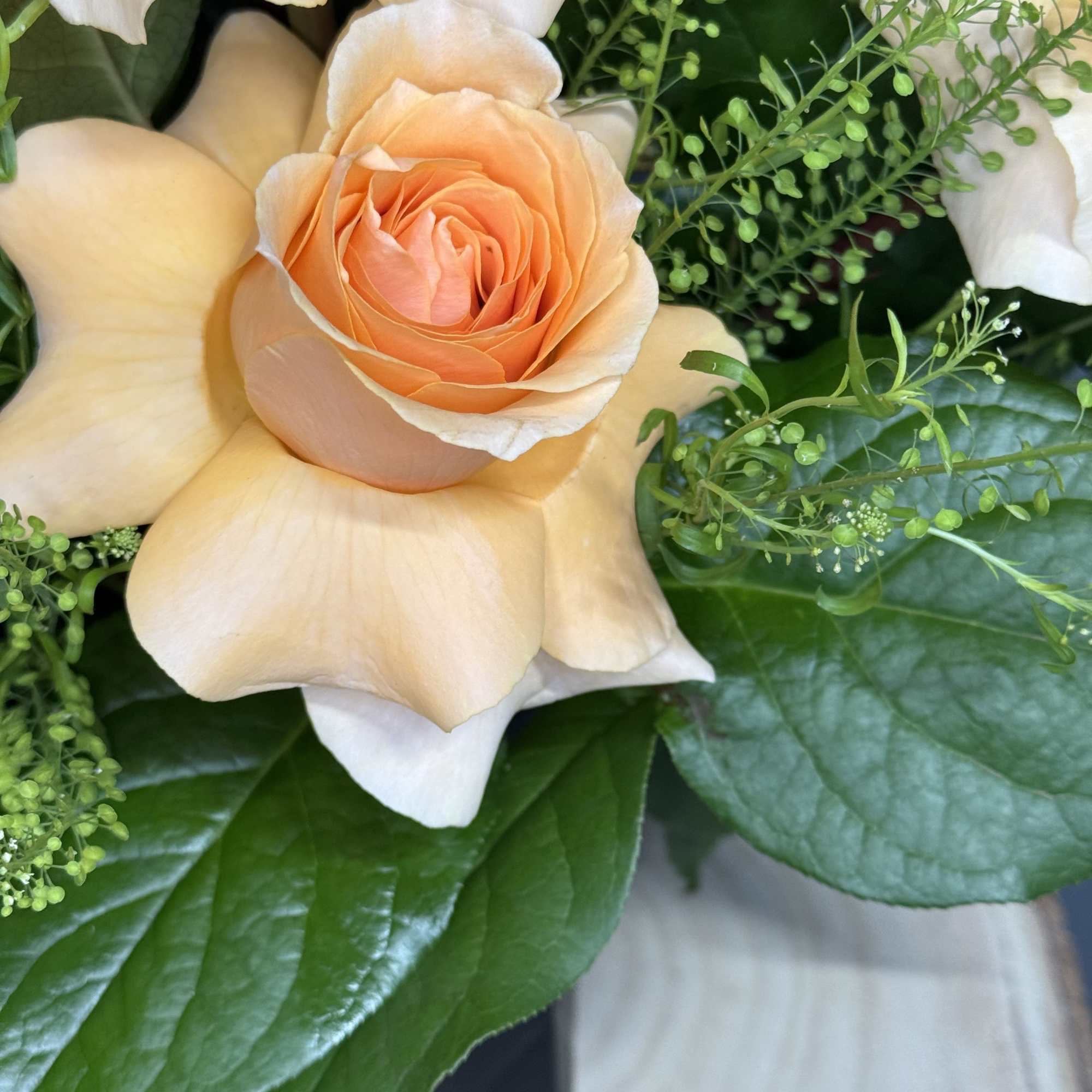 Close-up bouquet of peach and cream roses with green filler