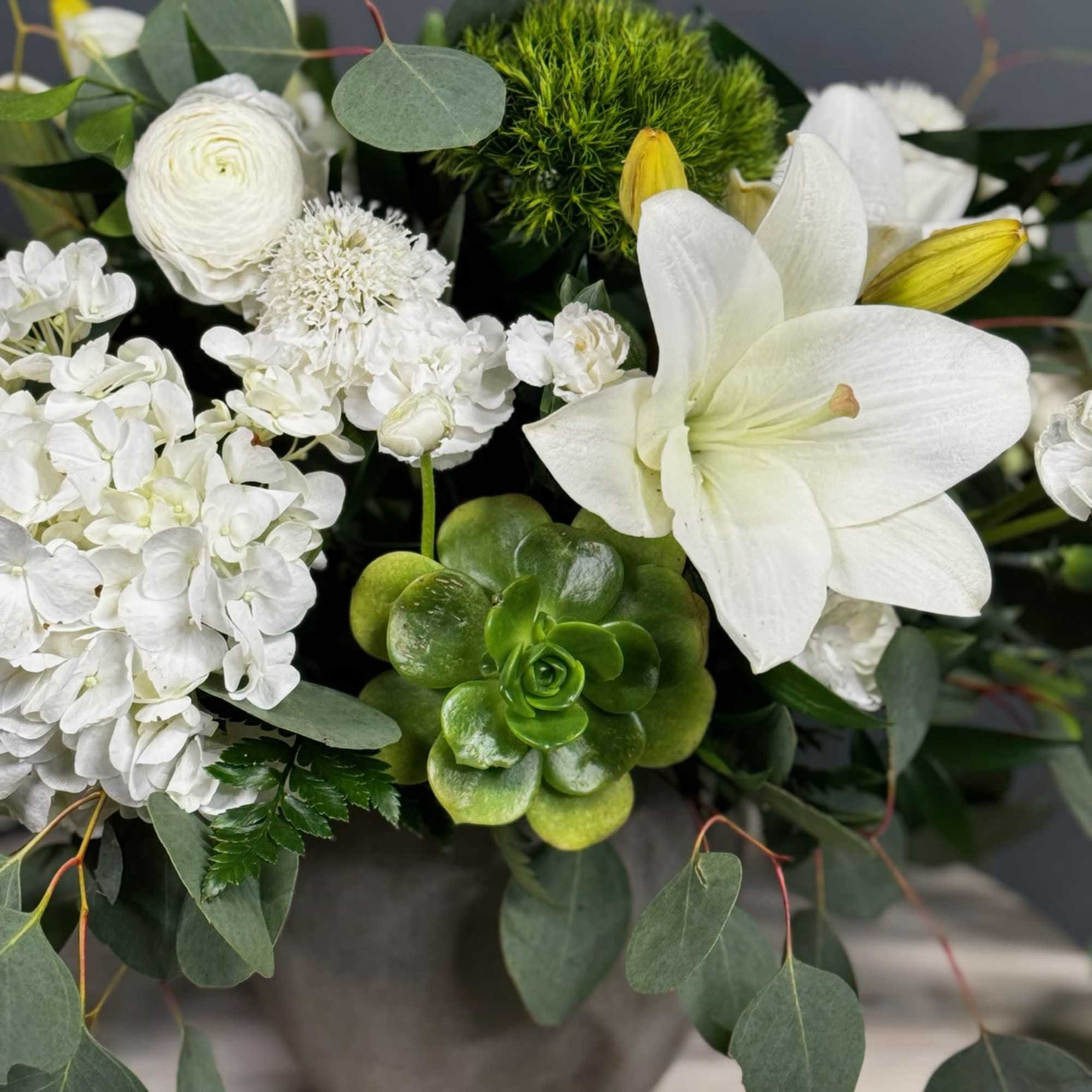 White flowers and a green succulent arranged in a vase