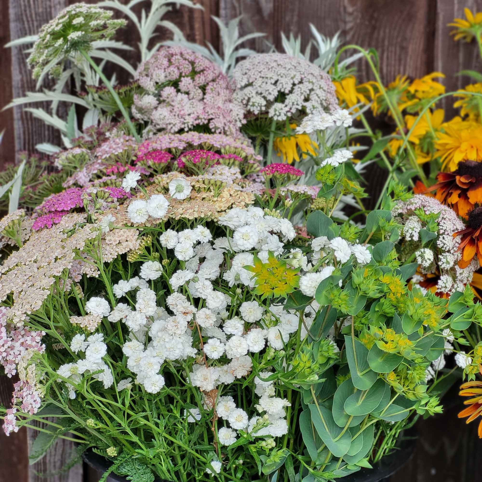 Mixed bouquet of white, pink, and yellow flowers in a black container
