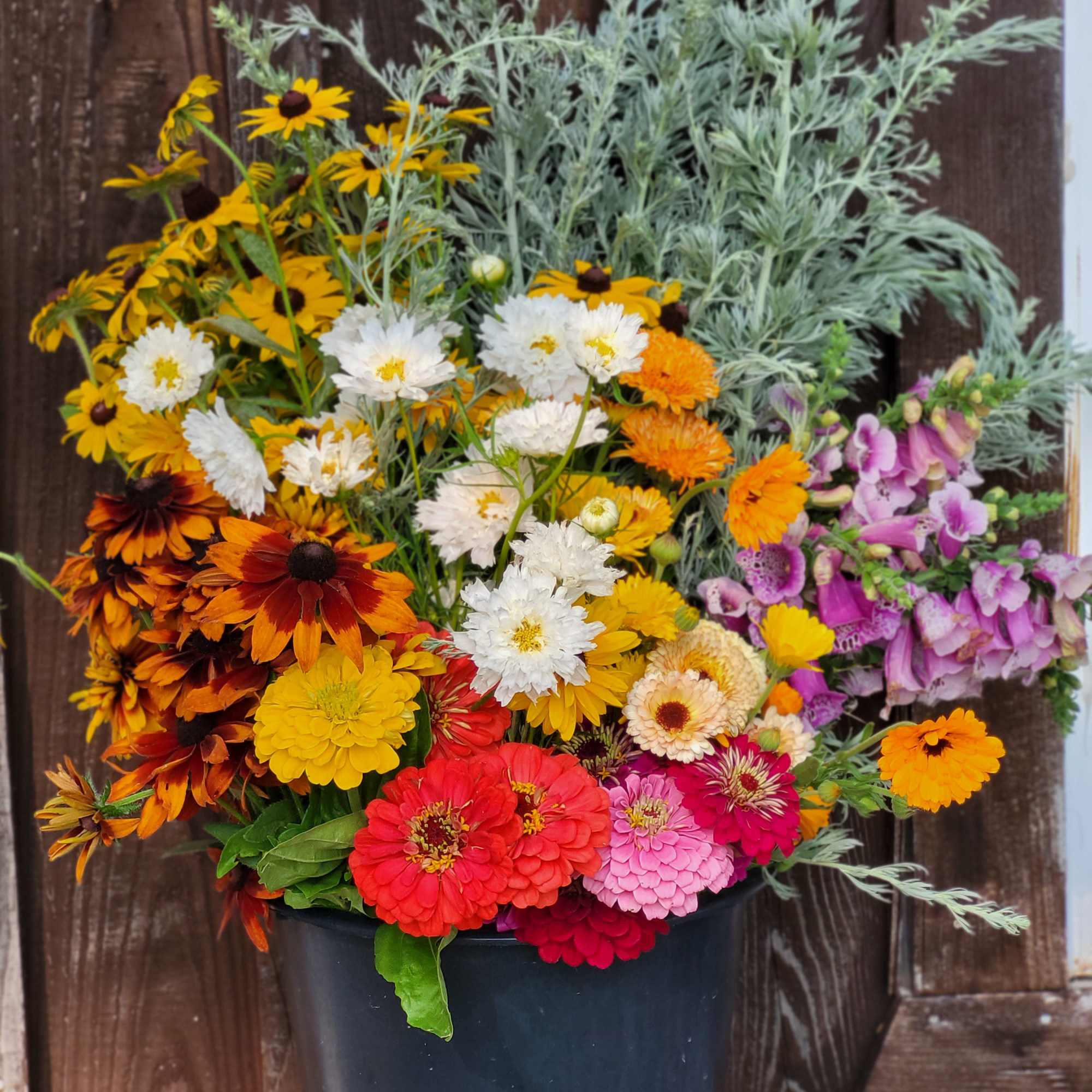 Mixed bouquet in a dark pot with yellow, white, orange, pink, and purple flowers