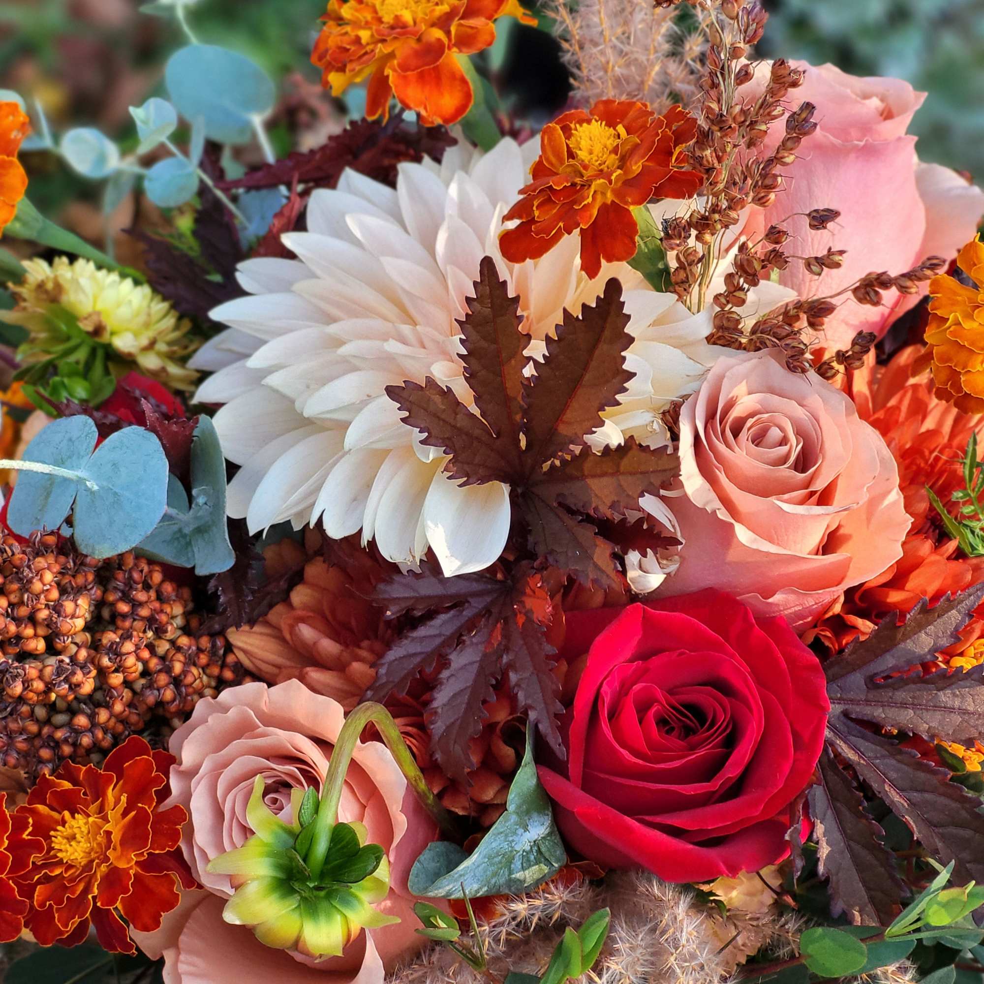 Mixed bouquet with roses, a white dahlia, and orange marigolds
