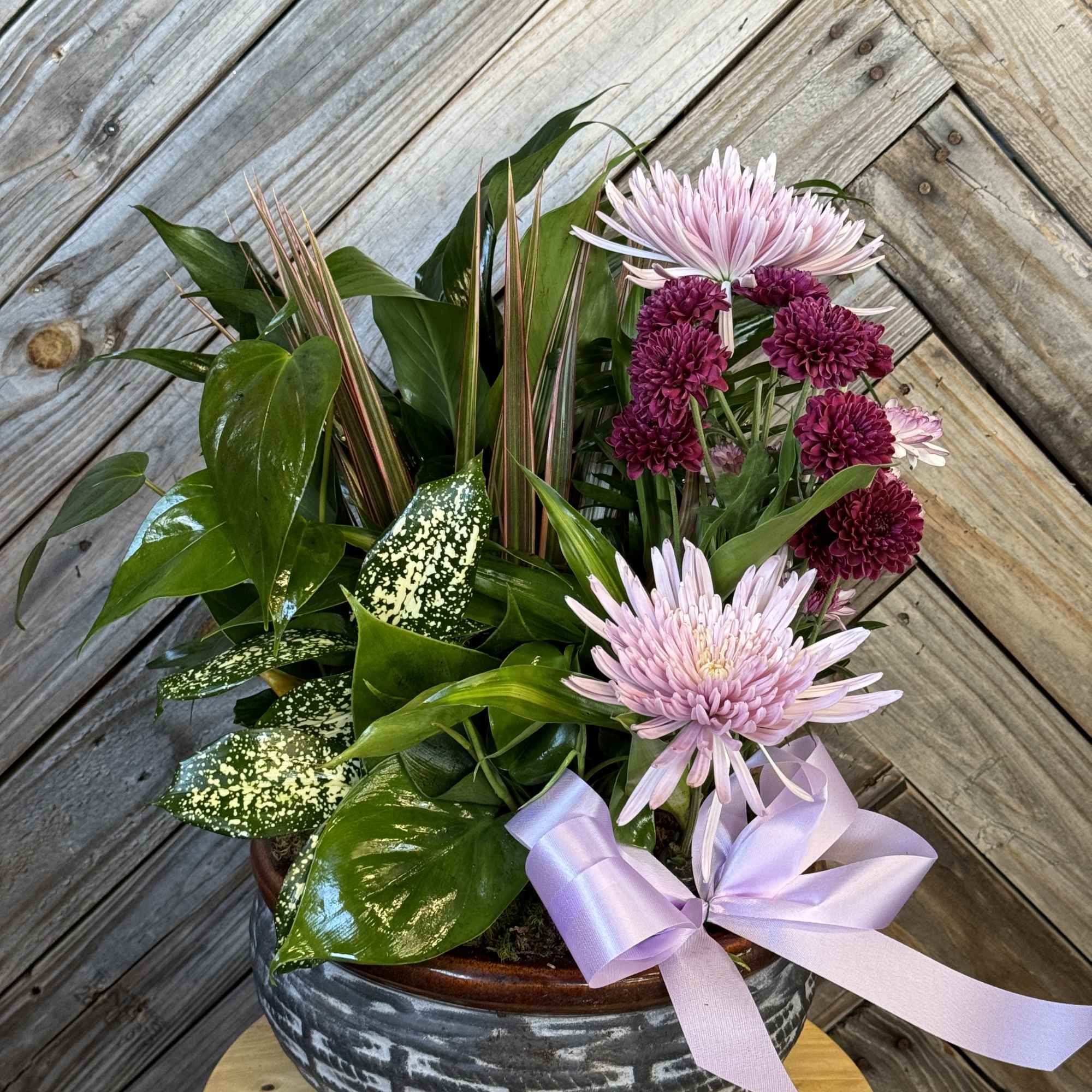Pink chrysanthemums in a ceramic pot with a lavender ribbon