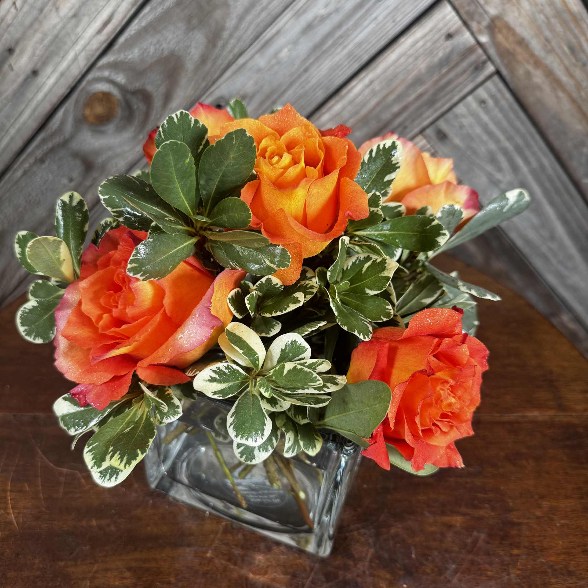Orange roses in a square glass vase with variegated foliage