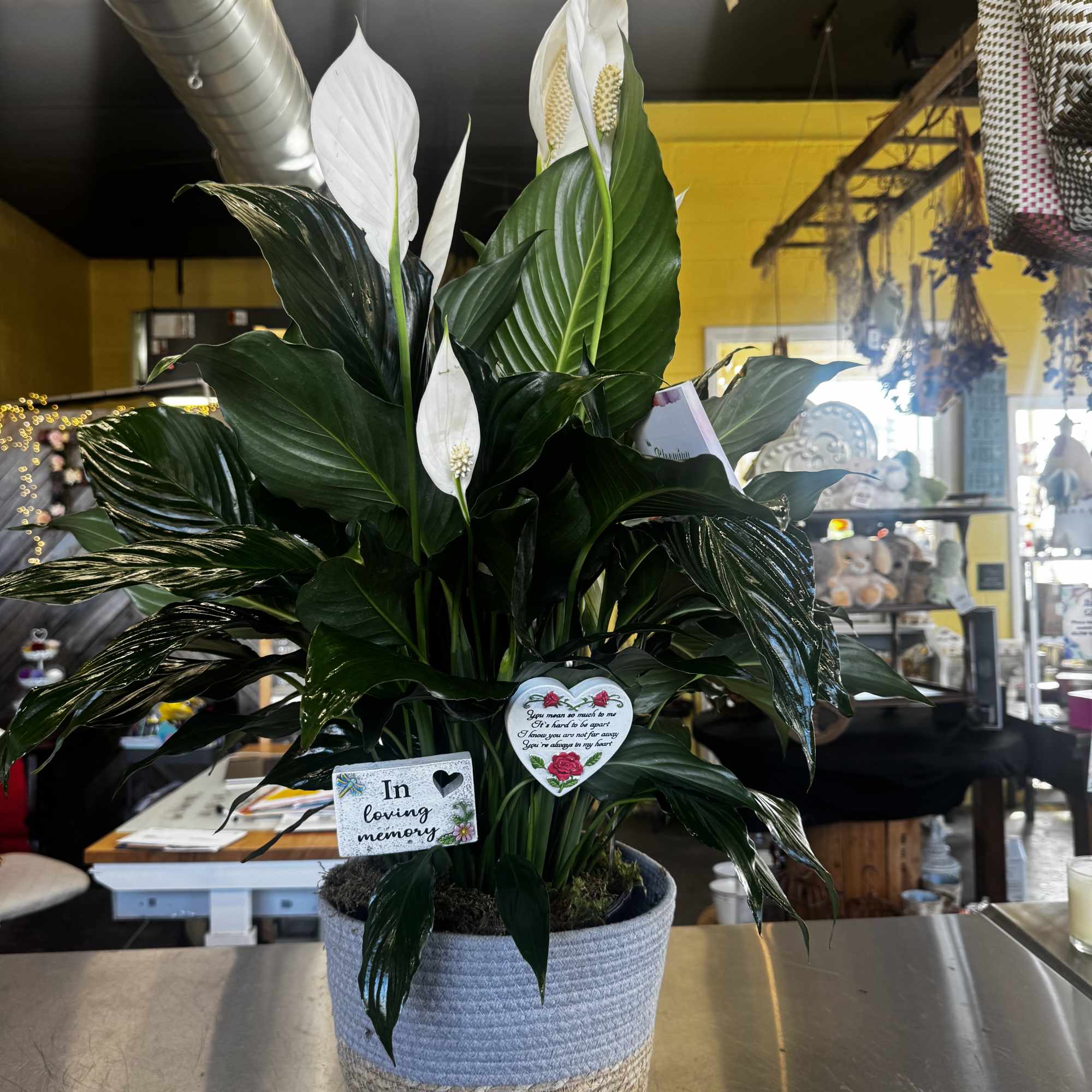 Potted peace lily arrangement with white blooms and a woven basket cover