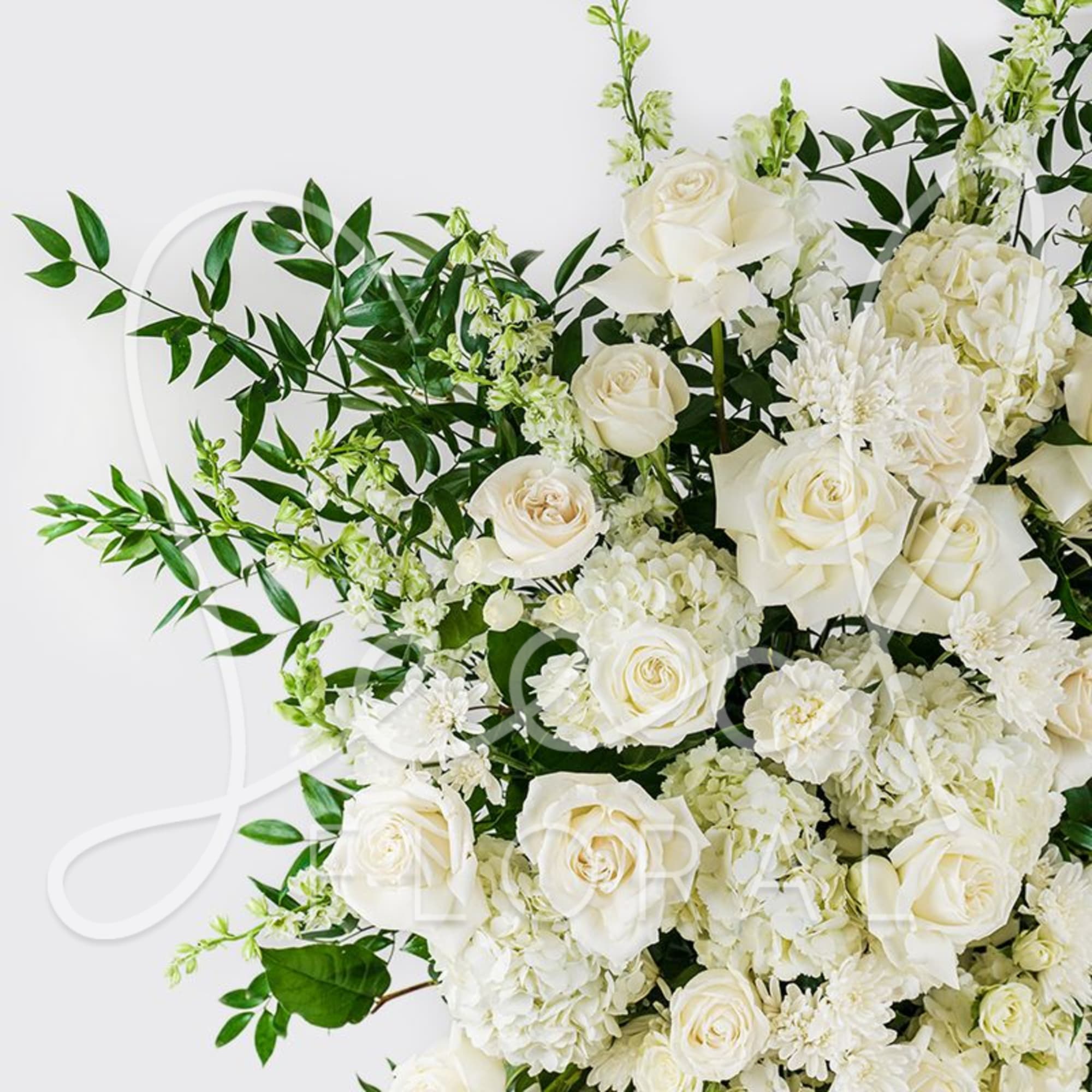White roses and hydrangeas with green foliage in a bouquet