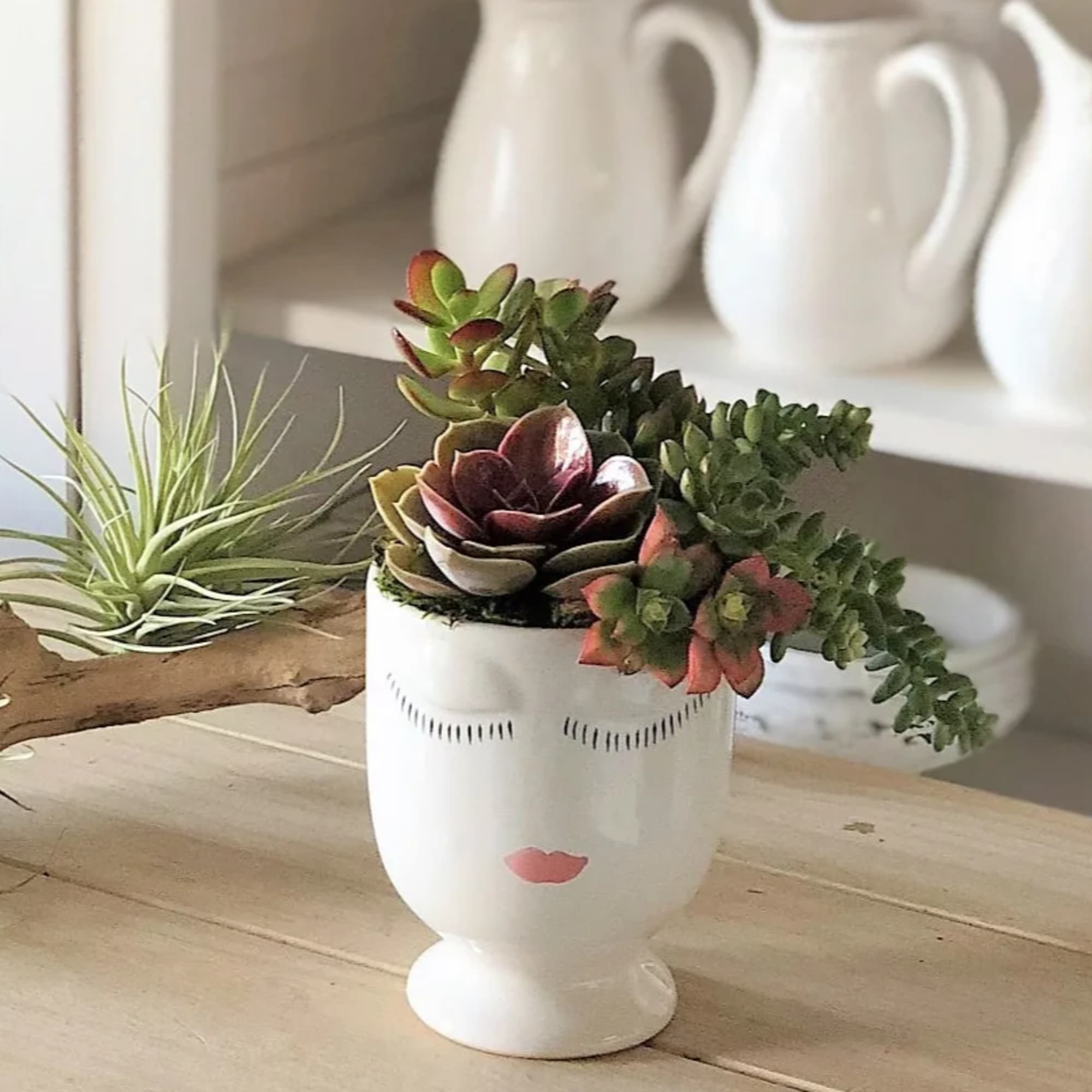 Succulent arrangement in a white face-shaped planter