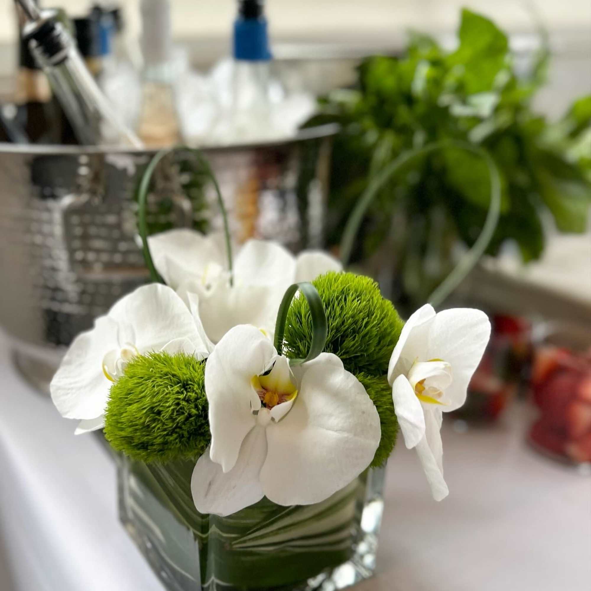 White orchids arranged with green moss balls in a square glass vase.