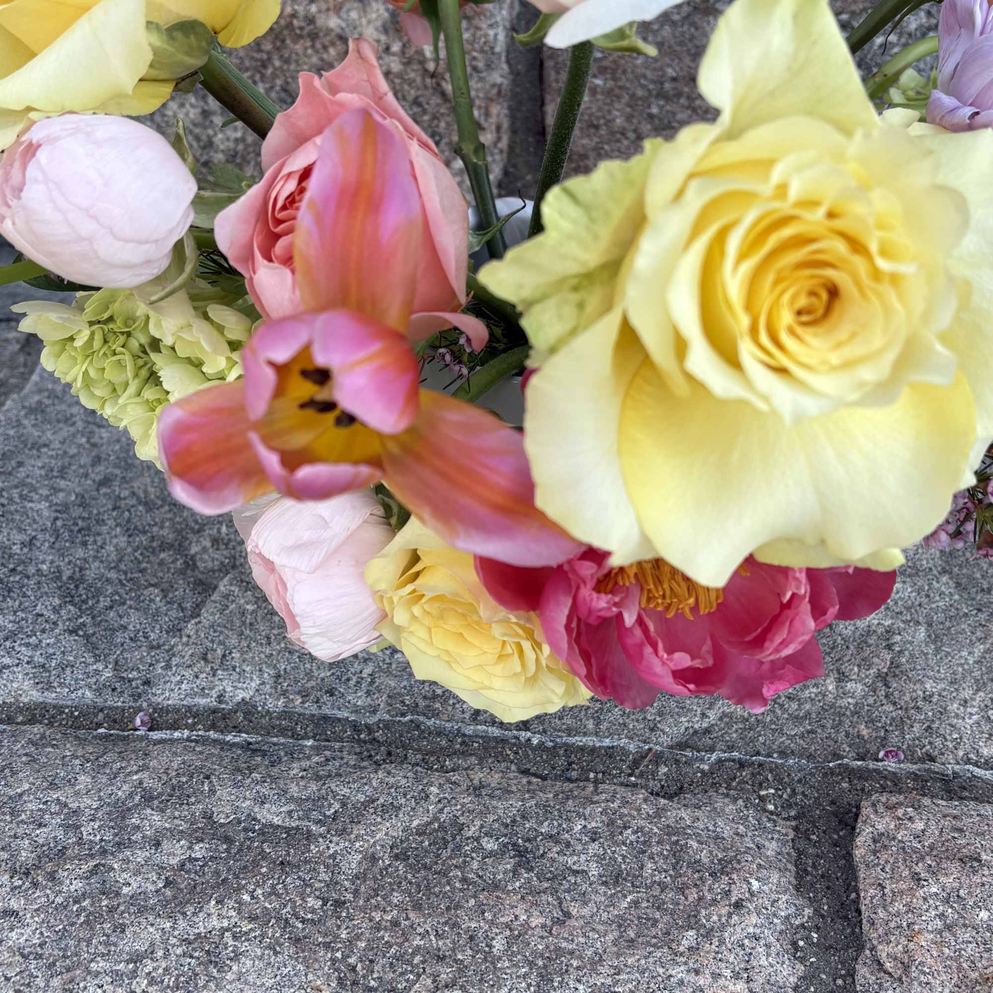 A fresh, sunlit mix that feels like the warm days ahead! , photo 2 of 4