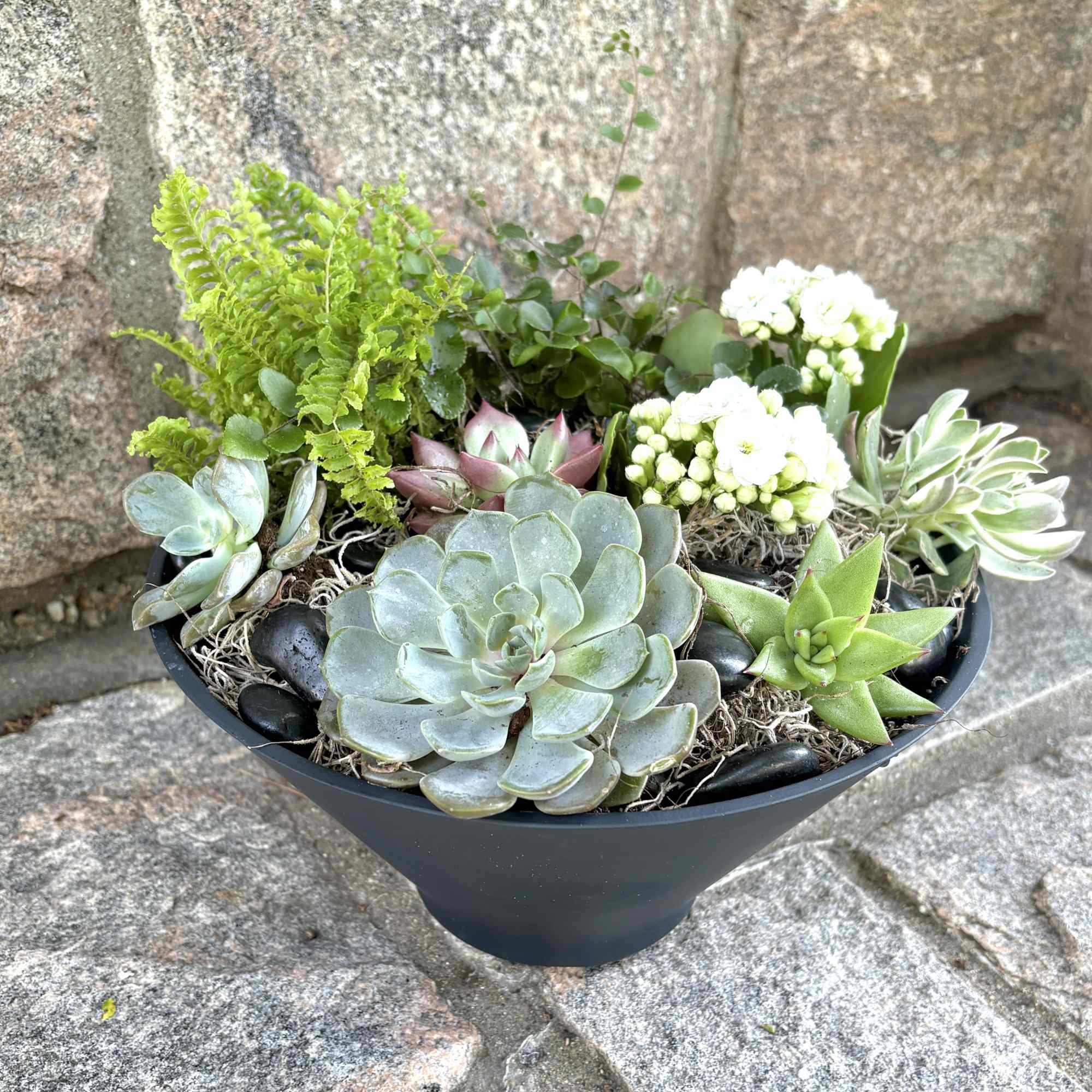 Gorgeous succulents and other summer style plants pair so well in our