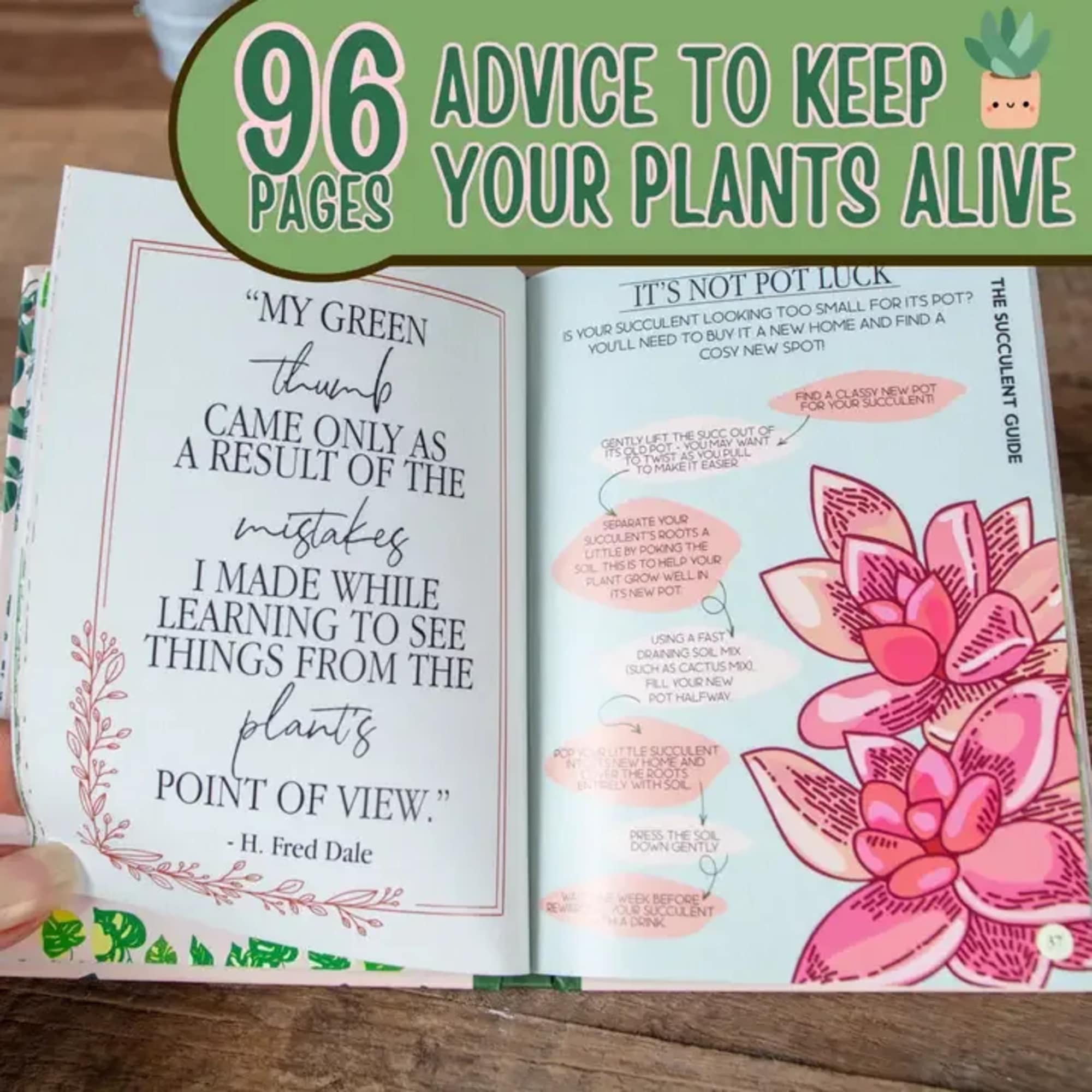 Open plant advice book with a green title banner and succulent illustrations