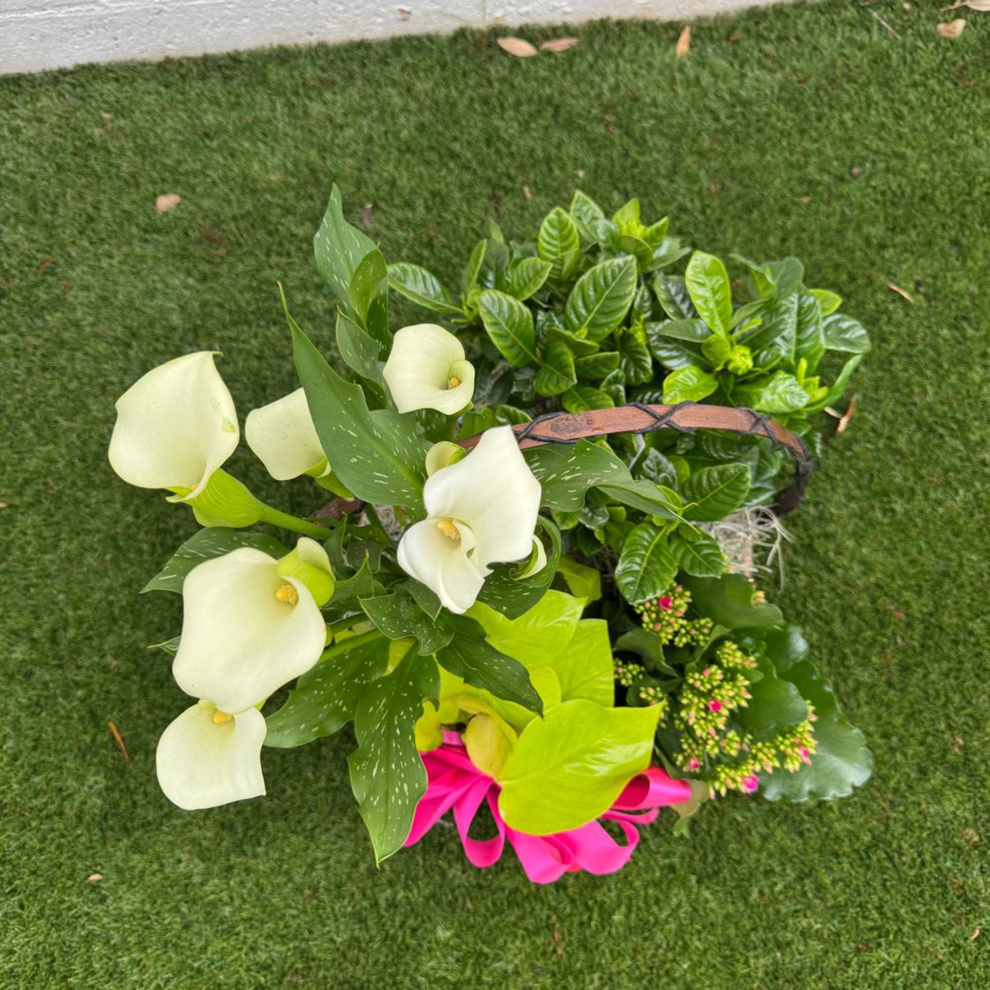 Basket arrangement with white calla lilies and bright pink flowers