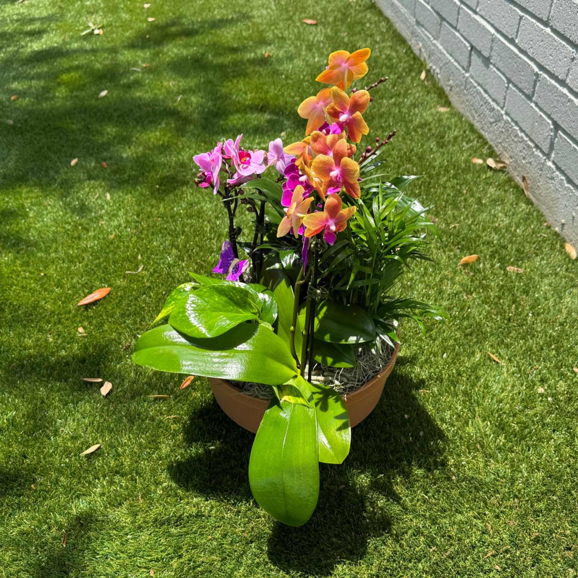 Potted orchid arrangement with pink and orange blooms, photo 4 of 4